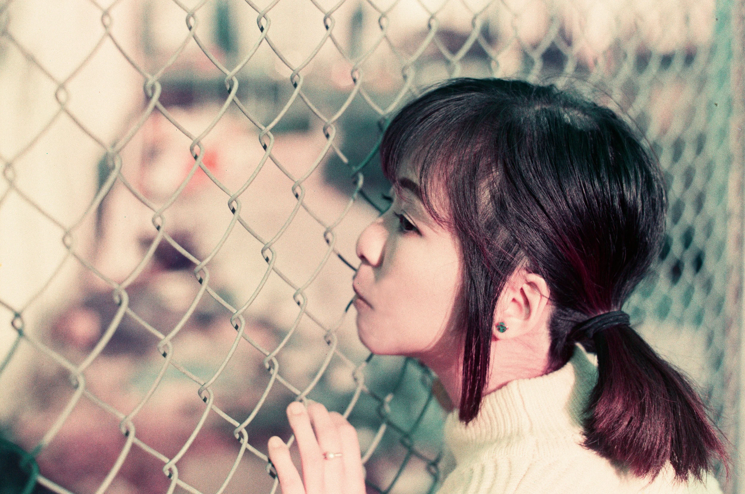 赤、黄、緑、青、紫 | NIKONOYUMEE ニコの写真