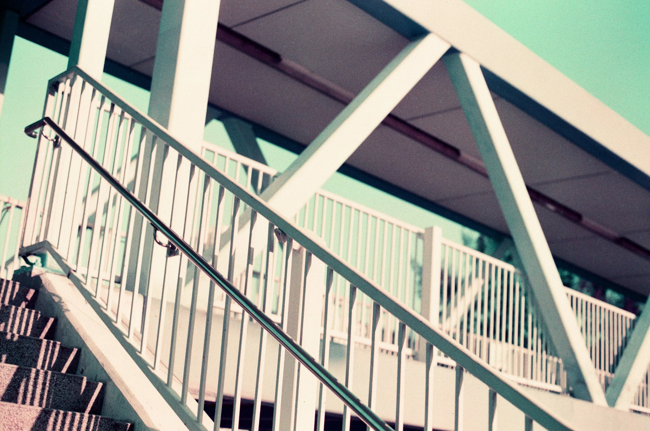 赤、黄、緑、青、紫 | NIKONOYUMEE ニコの写真