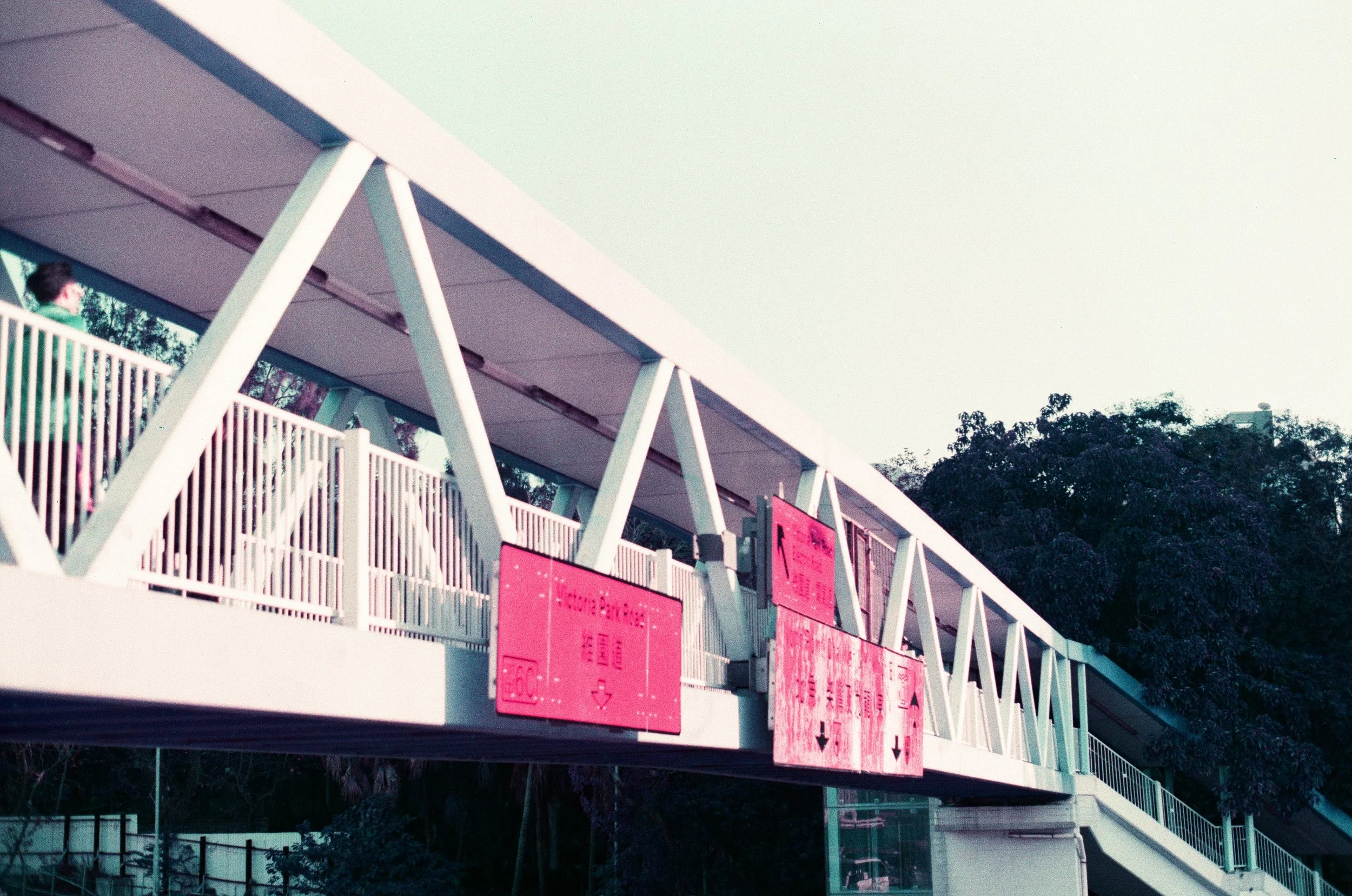 赤、黄、緑、青、紫 | NIKONOYUMEE ニコの写真