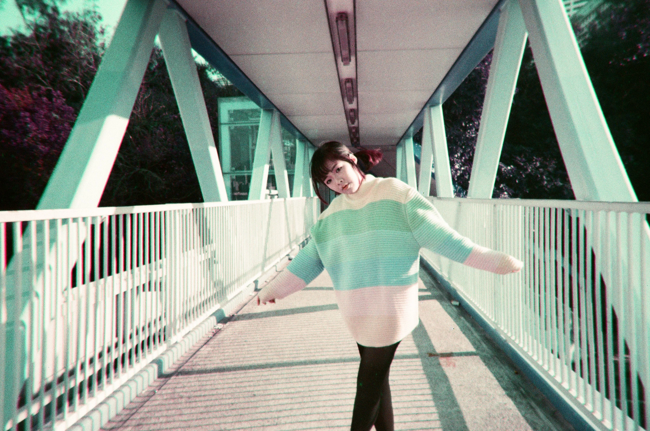 赤、黄、緑、青、紫 | NIKONOYUMEE ニコの写真