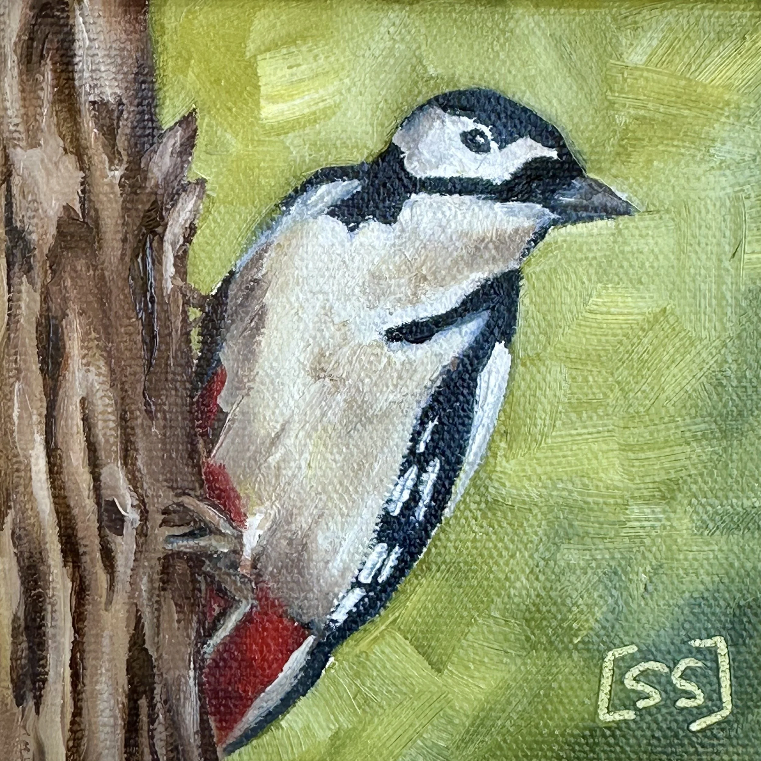 "Dudley" Woodpecker - Original Oil Painting | 4"x4" Canvas (Framed)
