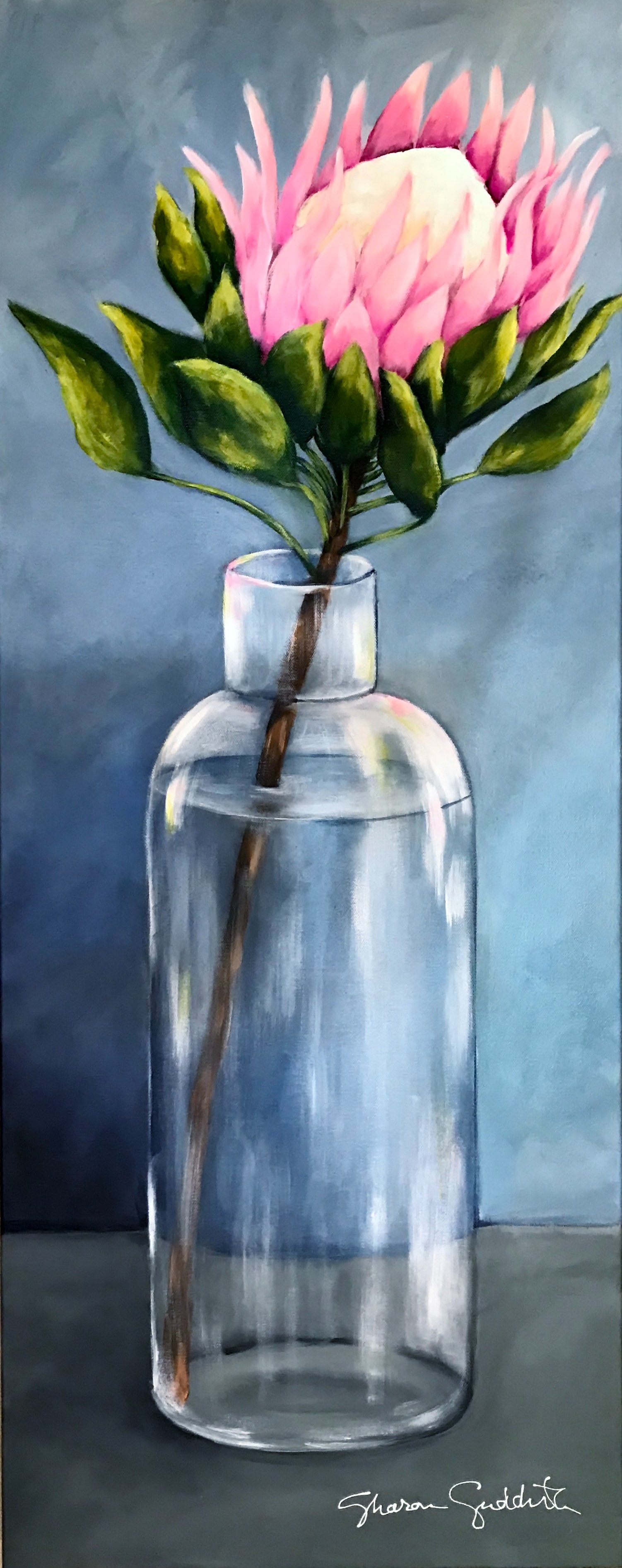 Protea