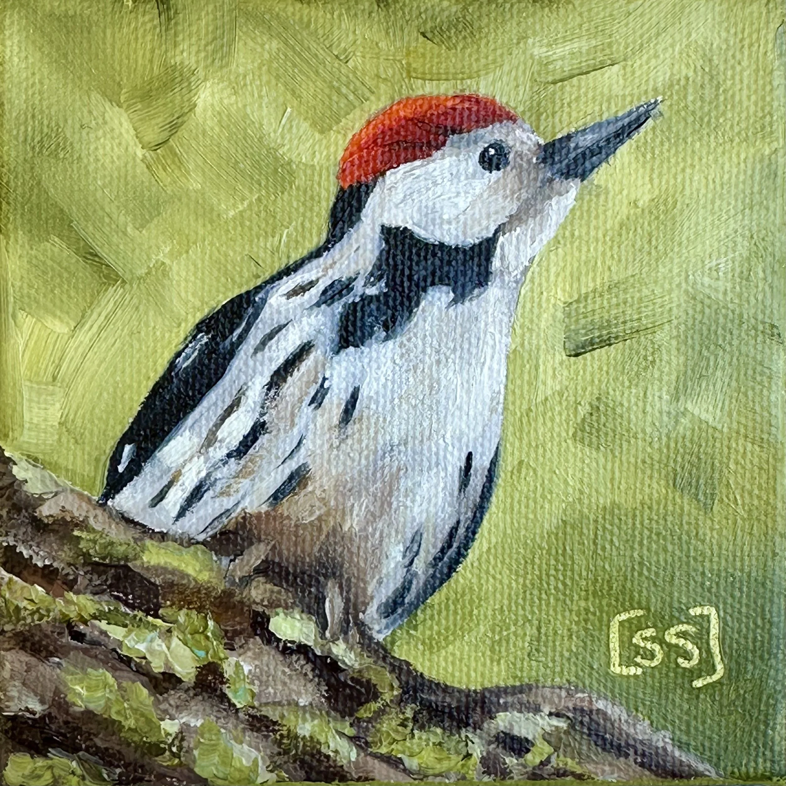 "Woody" Woodpecker - Original Oil Painting | 4"x4" Canvas (Framed)