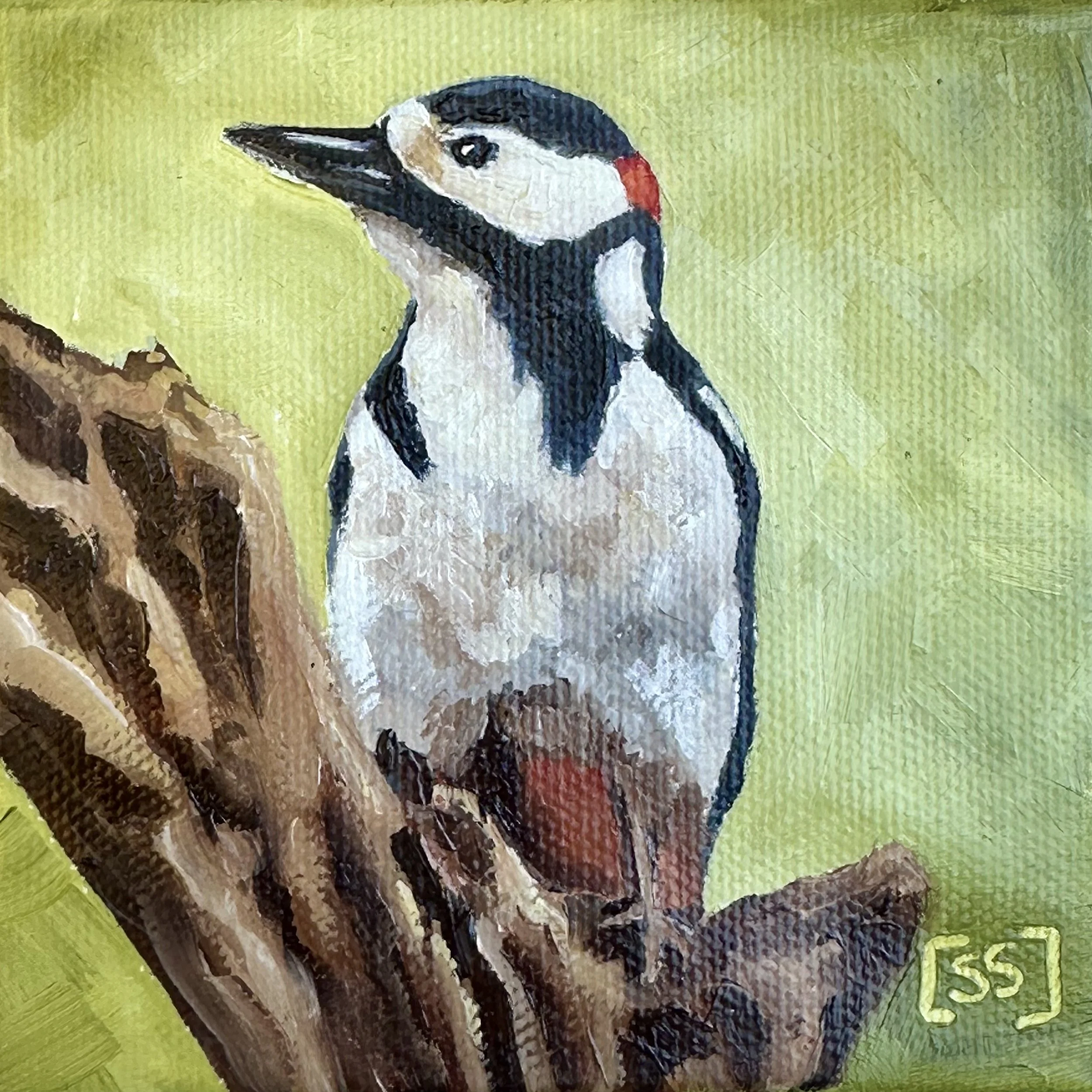 "Wilbur" Woodpecker - Original Oil Painting | 4"x4" Canvas (Framed)