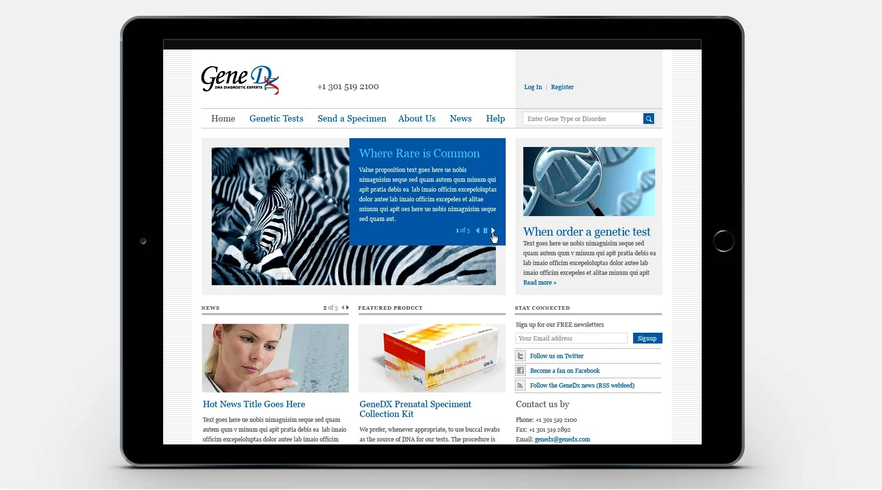 BRL_portfolio_B_01_05.jpg