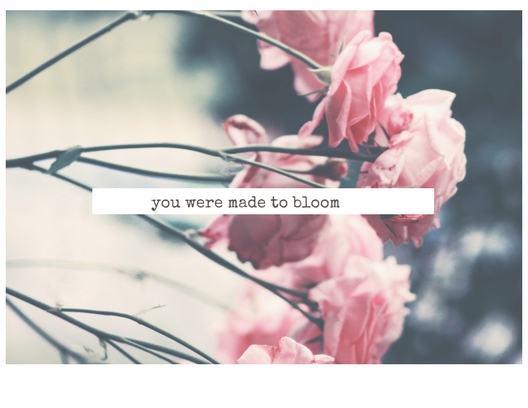 Copy of Copy of Copy of Copy of Copy of Copy of Where there is love, there is life more abundant.jpg