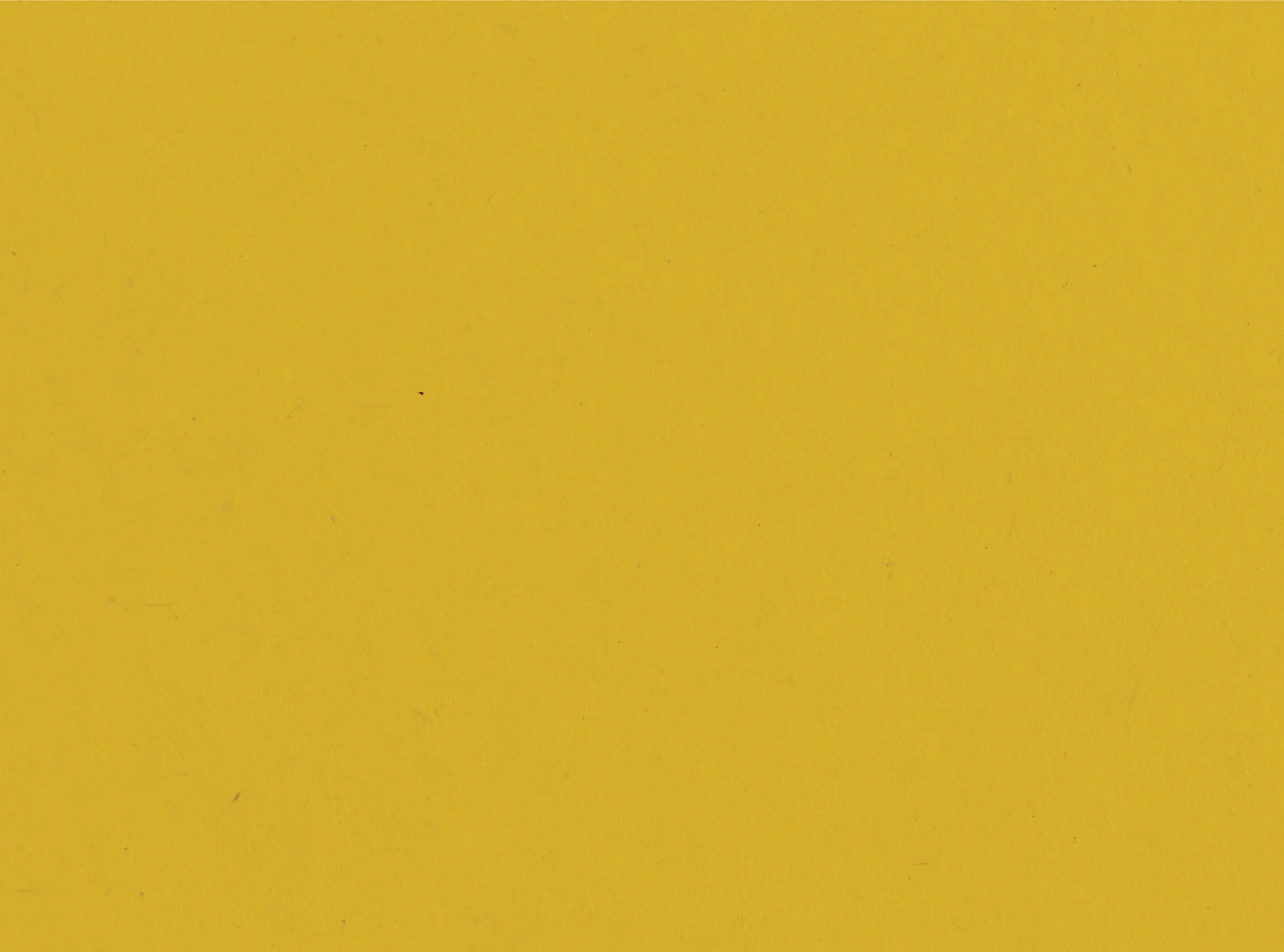 yellow_background.jpg