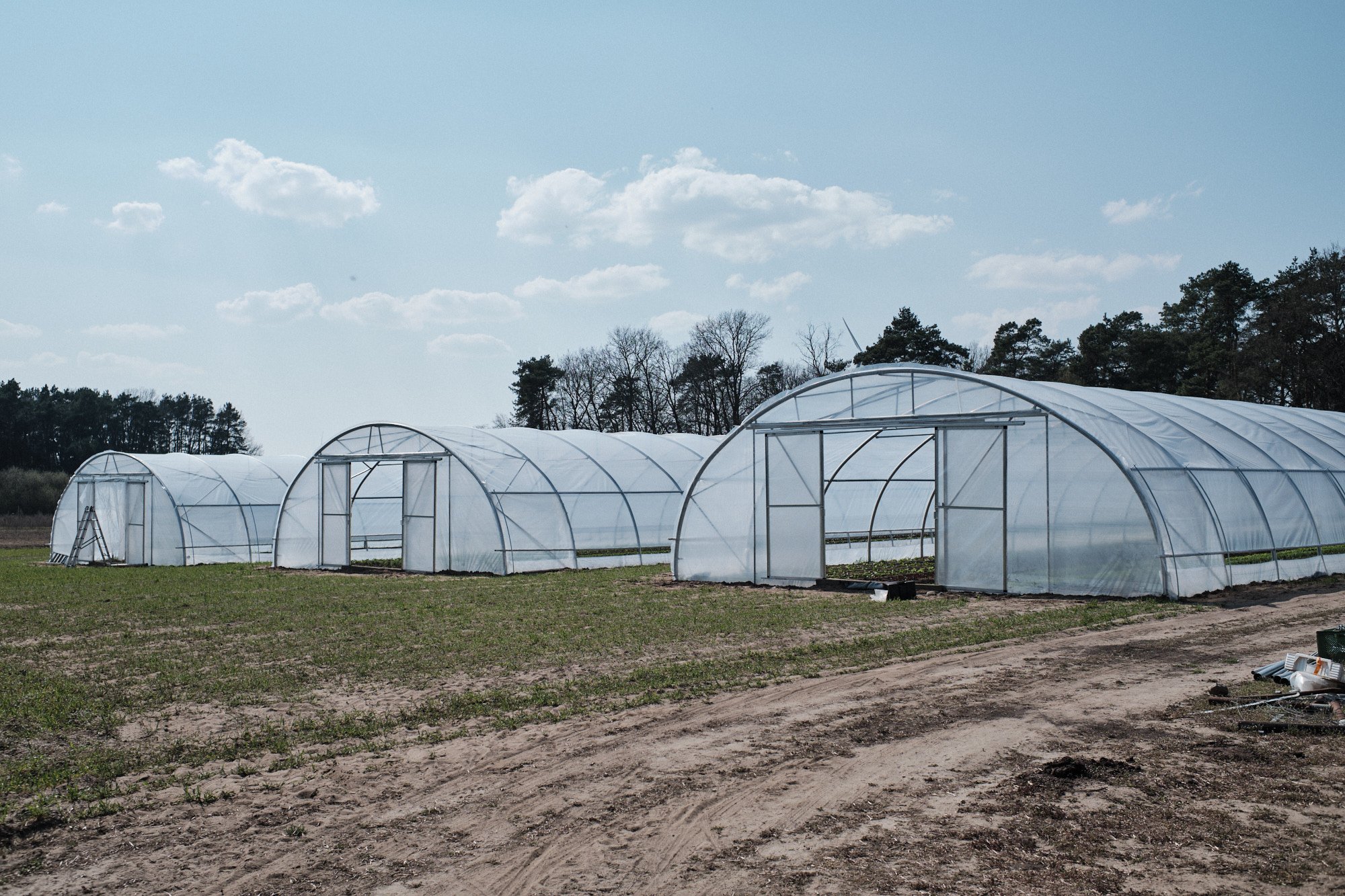 PlantAge_April20_Brix&Maas_067.jpg
