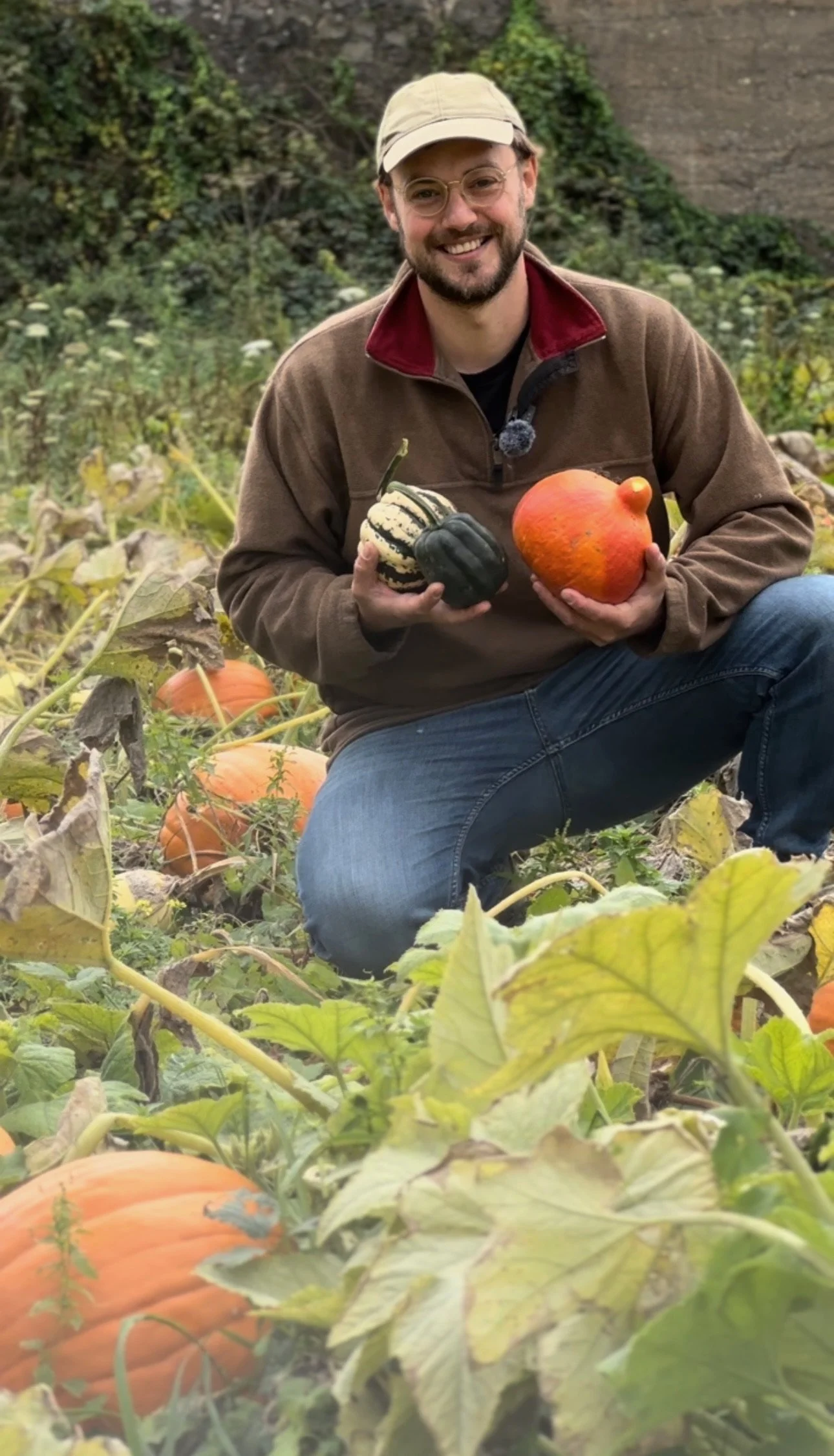 Markendorfer Kürbisfest