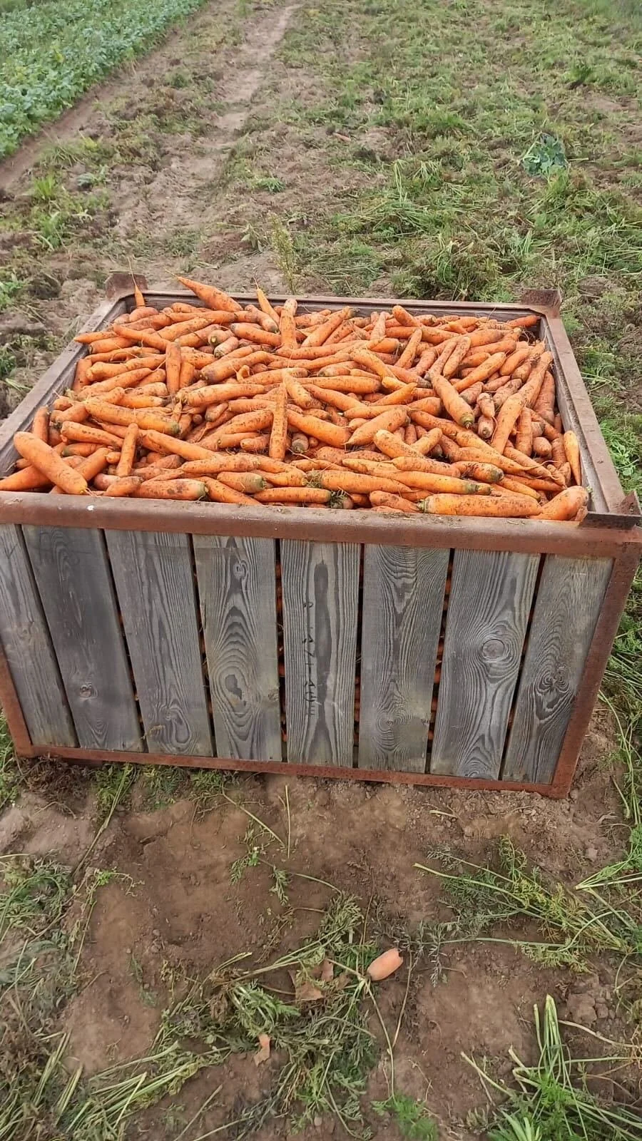 Farm day - Winterernte sichern