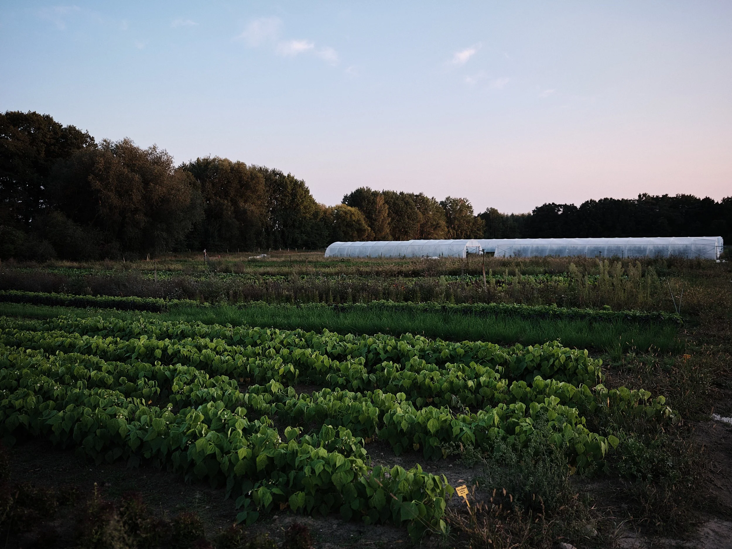 PlantAgeFest_112.jpg