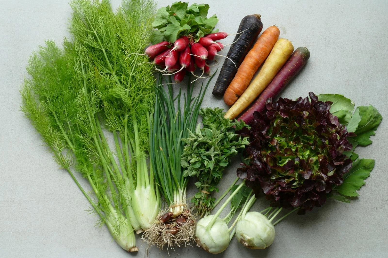 WhatsApp Image 2026-02-04 at 16.29.05.jpeg