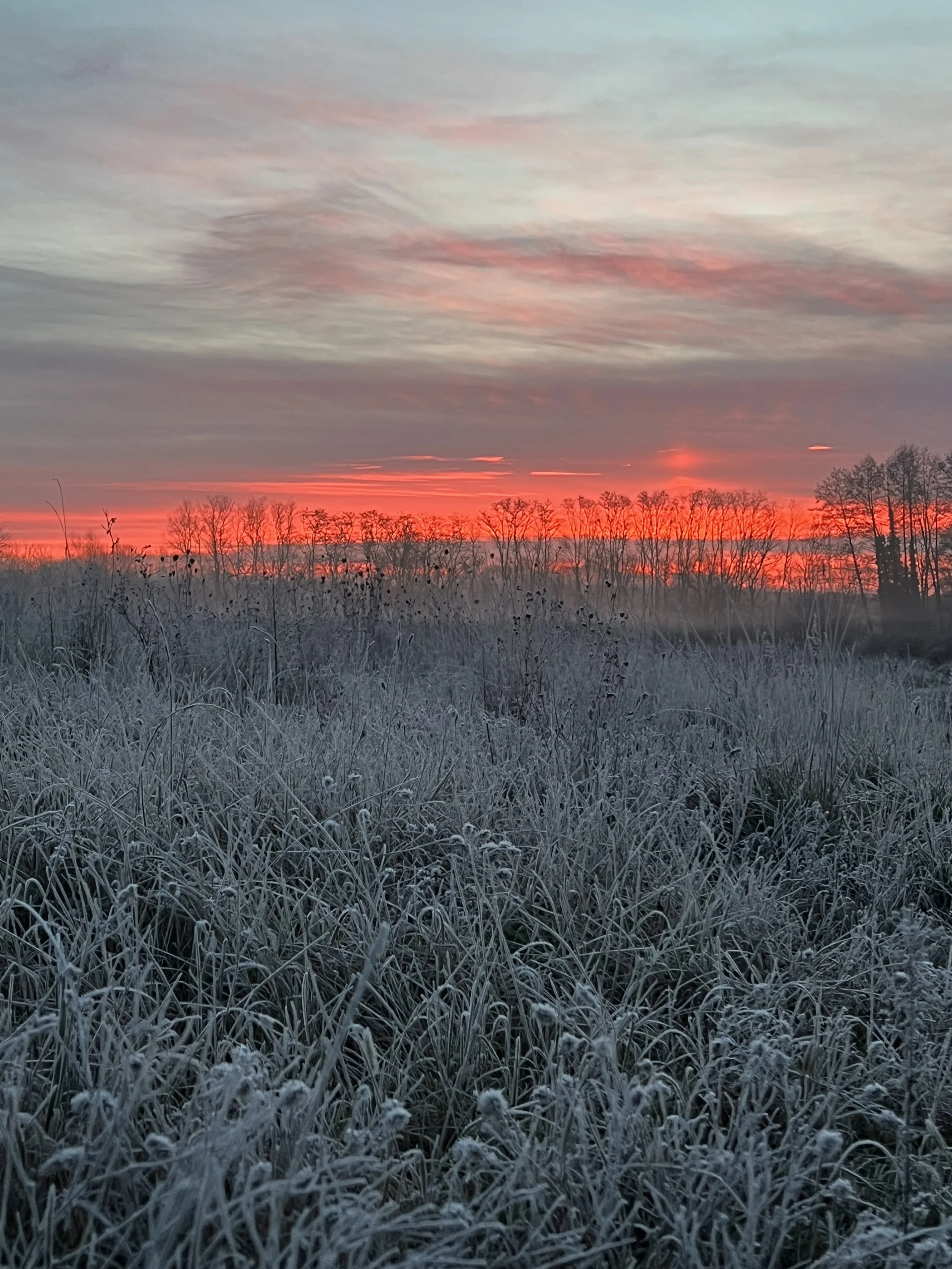 Winter, Frost und volle Lager – ein ehrlicher Blick auf unsere aktuelle Erntesituation