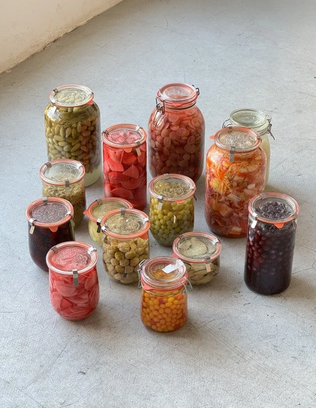 Screenshot 2026-02-10 125806.jpg