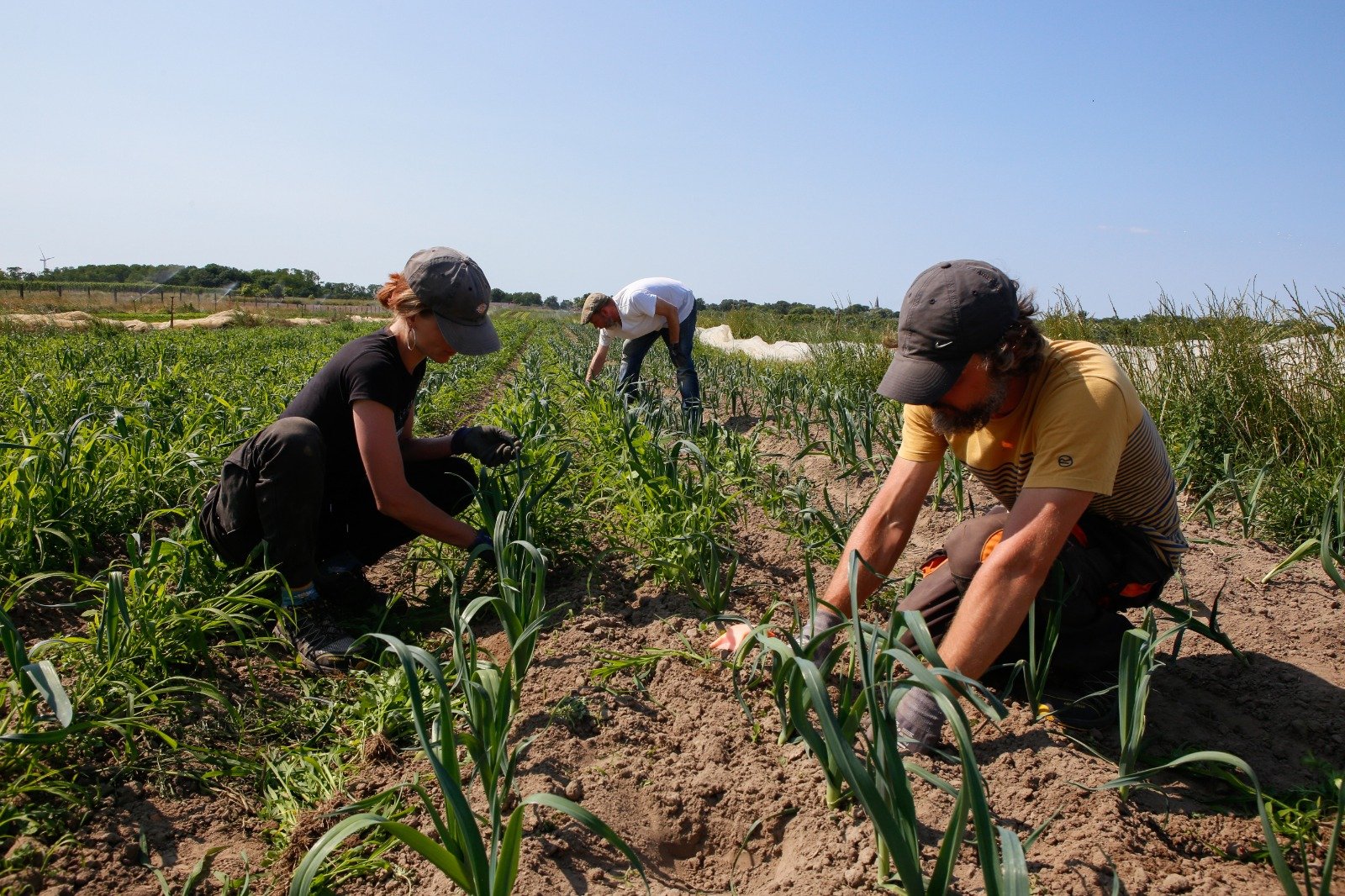 WhatsApp Image 2026-02-19 at 14.30.04.jpeg (Kopie)