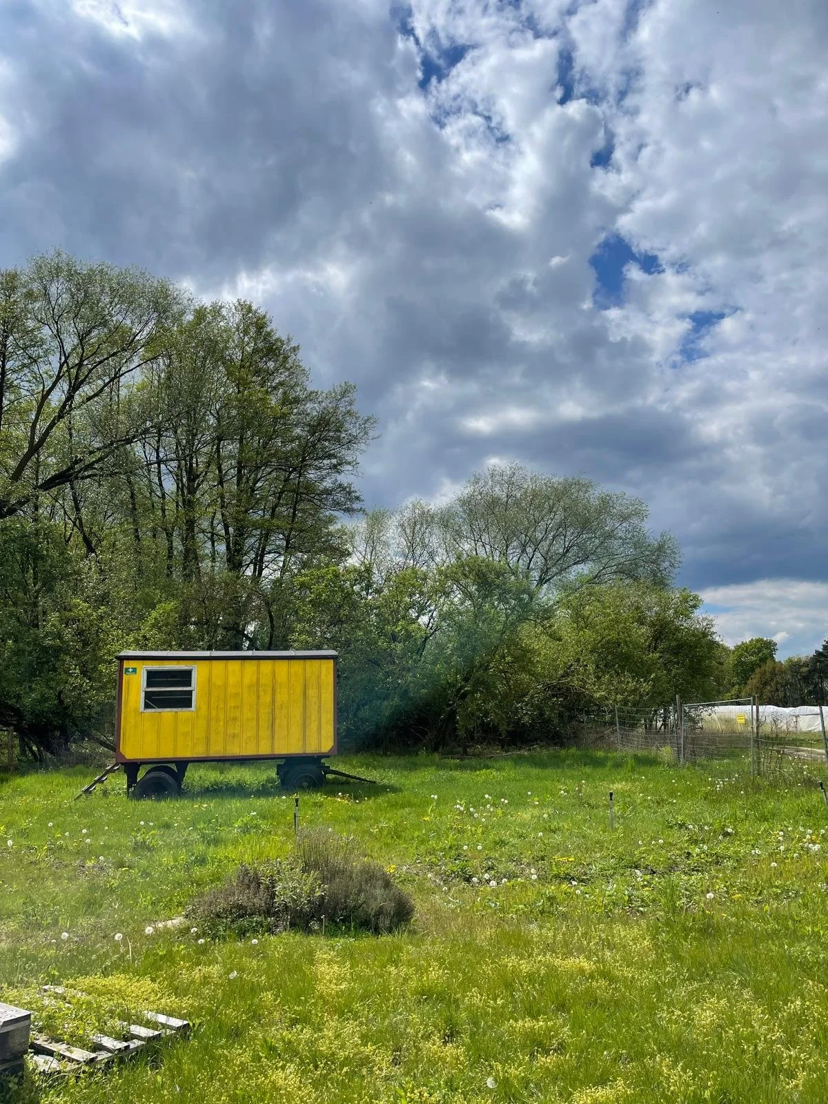 WhatsApp Image 2026-02-02 at 18.16.04.jpeg (Kopie)