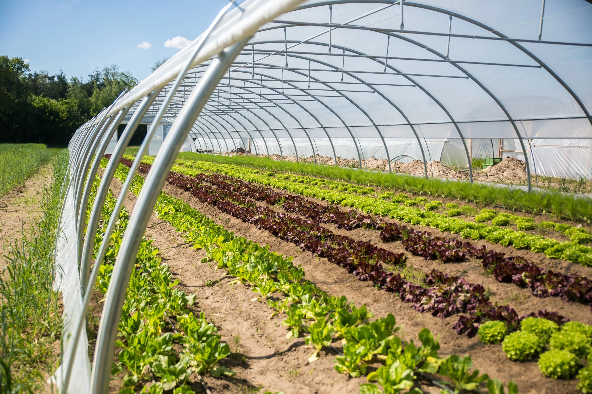 E41B1441.jpg (Kopie)