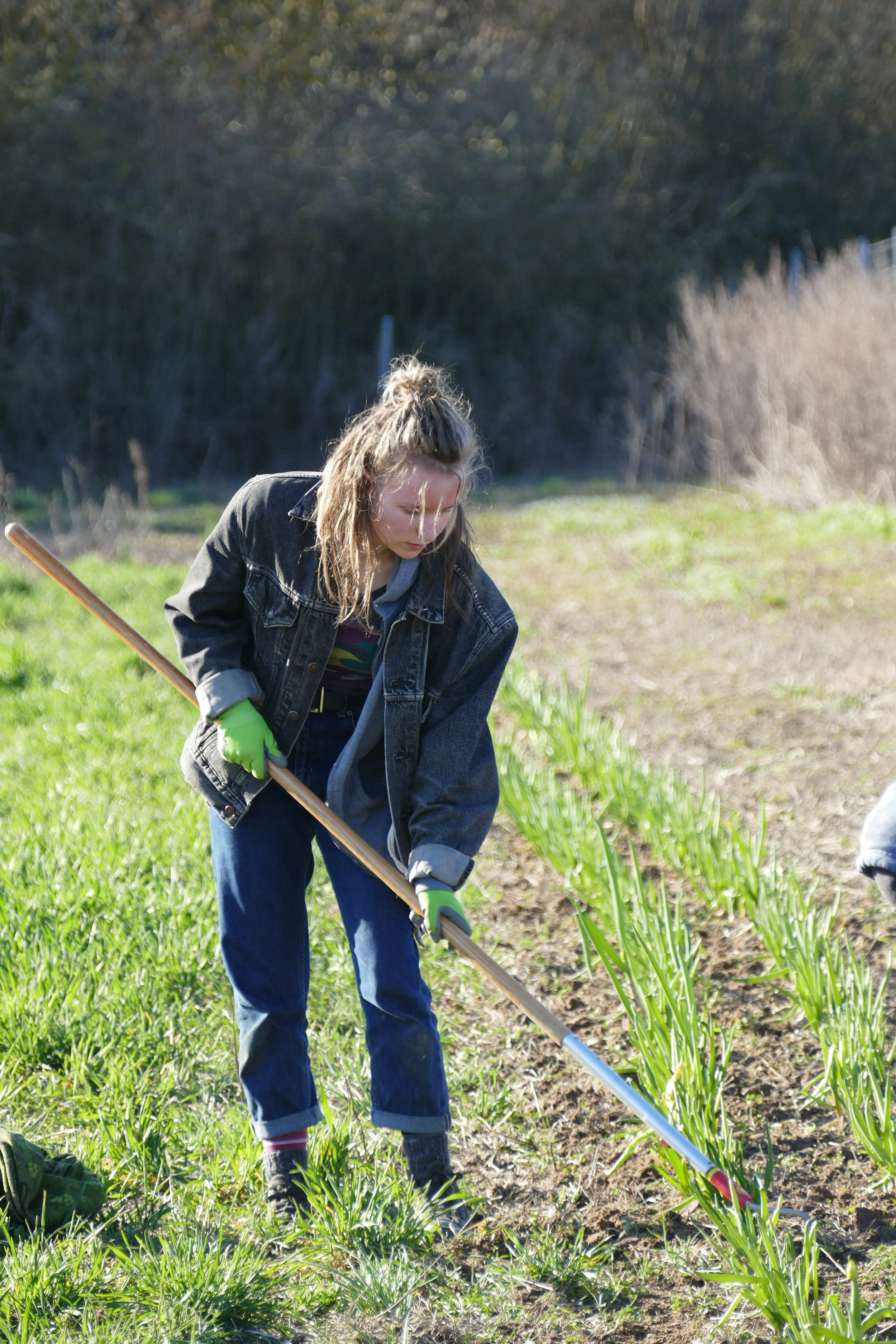 P1140545.JPG (Kopie)