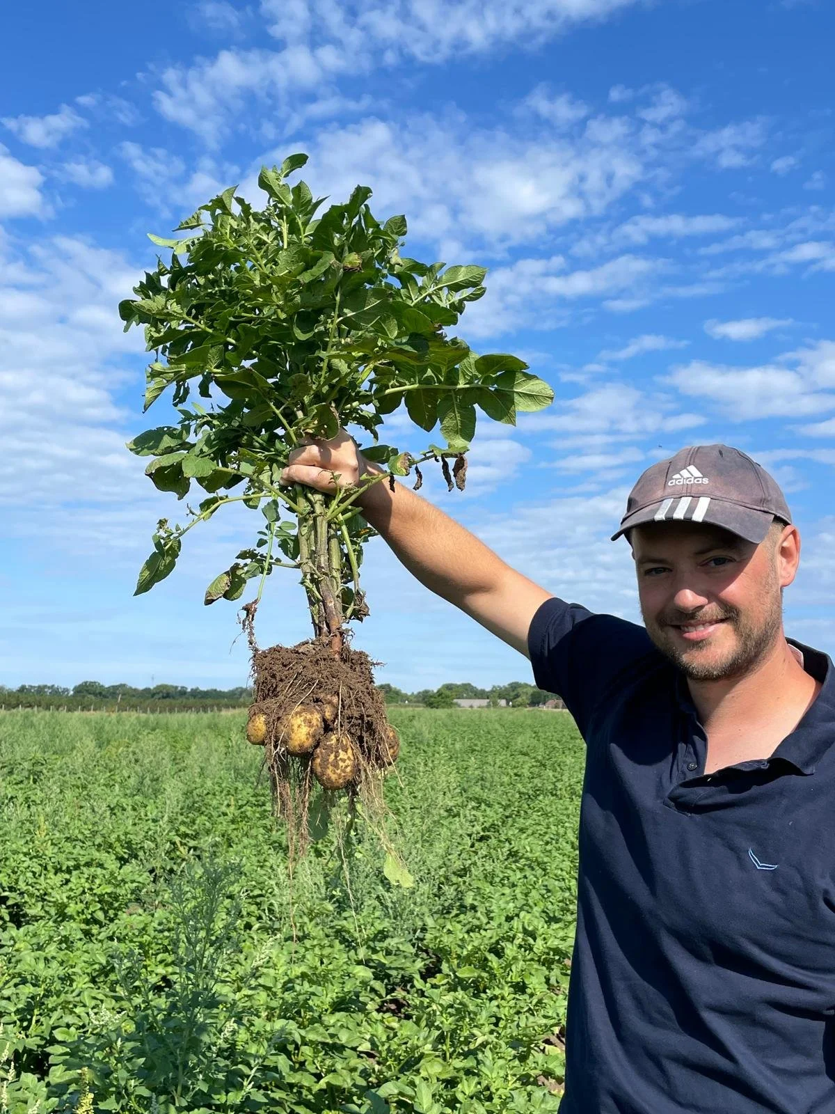 Salon Wilder Weizen - Infoabend &amp; Kartoffelsuppe mit PlantAge &amp; der Möbleria