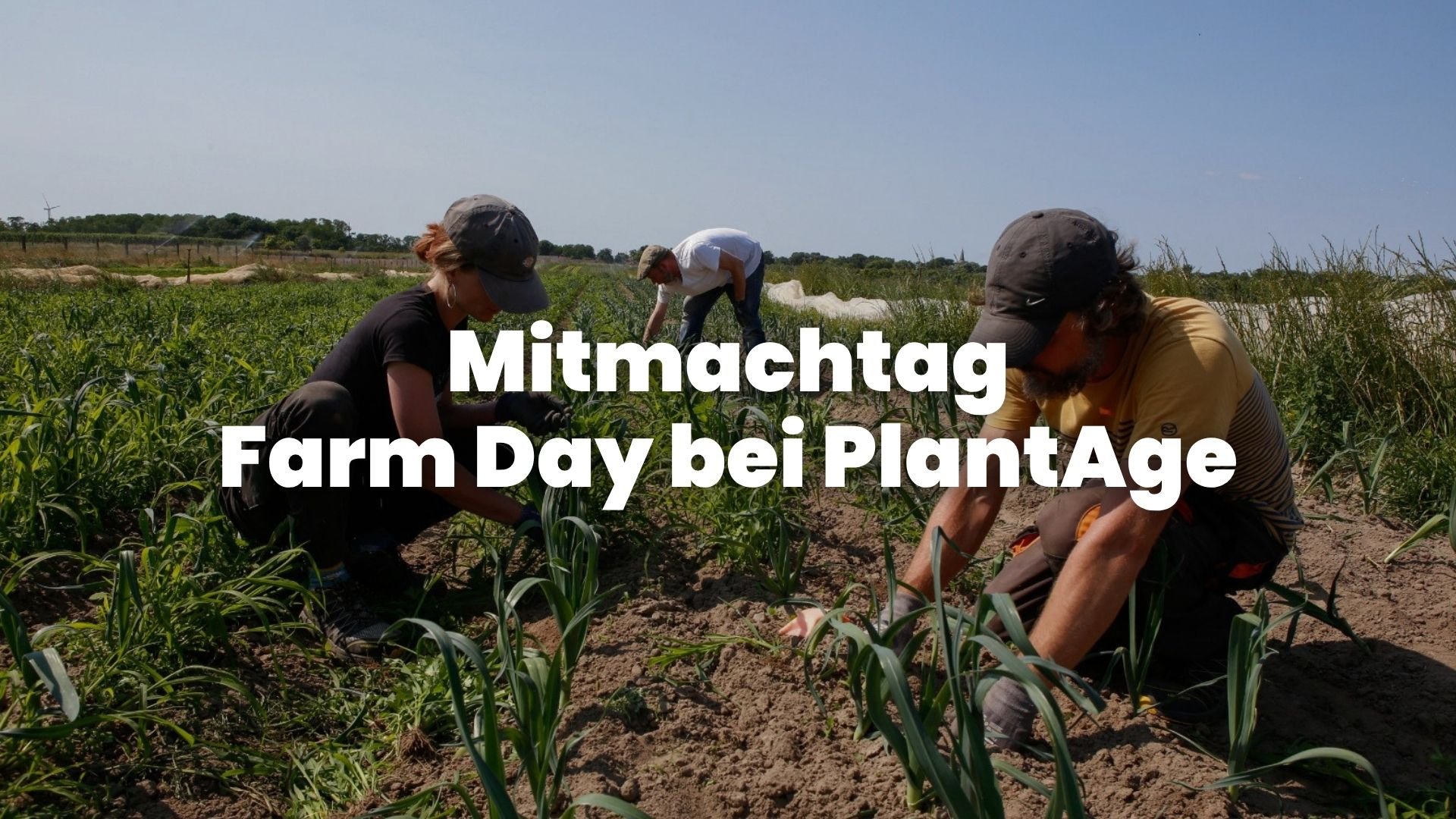 Mitmachtag - Farm Day bei PlantAge  
