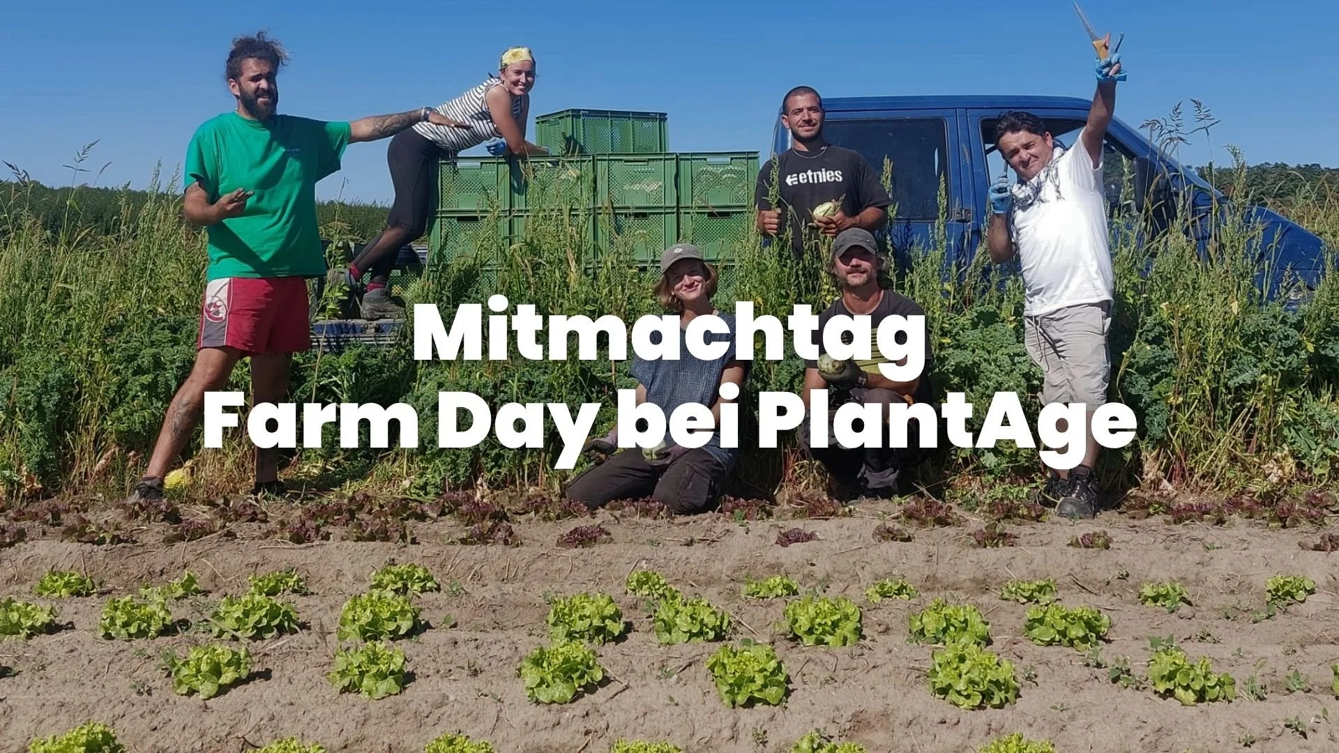 Mitmachtag - Farm Day bei PlantAge 