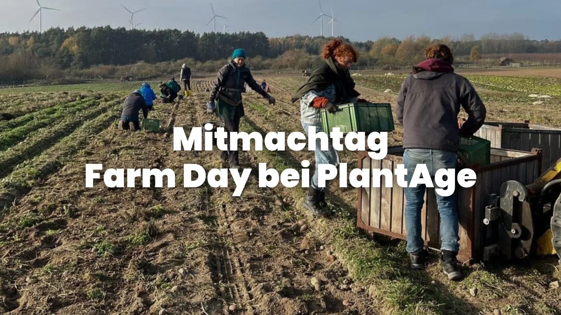 Mitmachtag - Farm Day bei PlantAge 