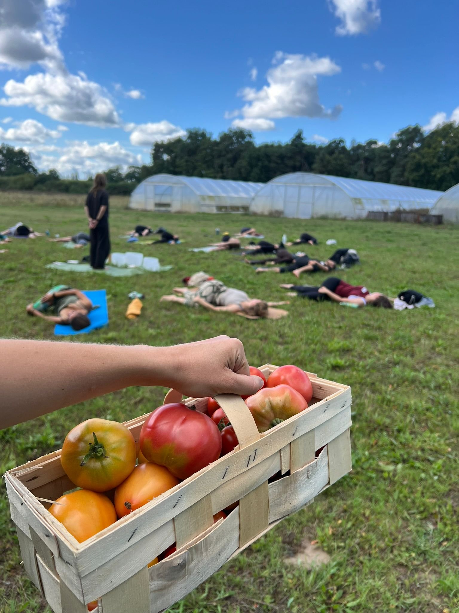 WhatsApp Image 2026-04-21 at 11.49.43 (7).jpeg