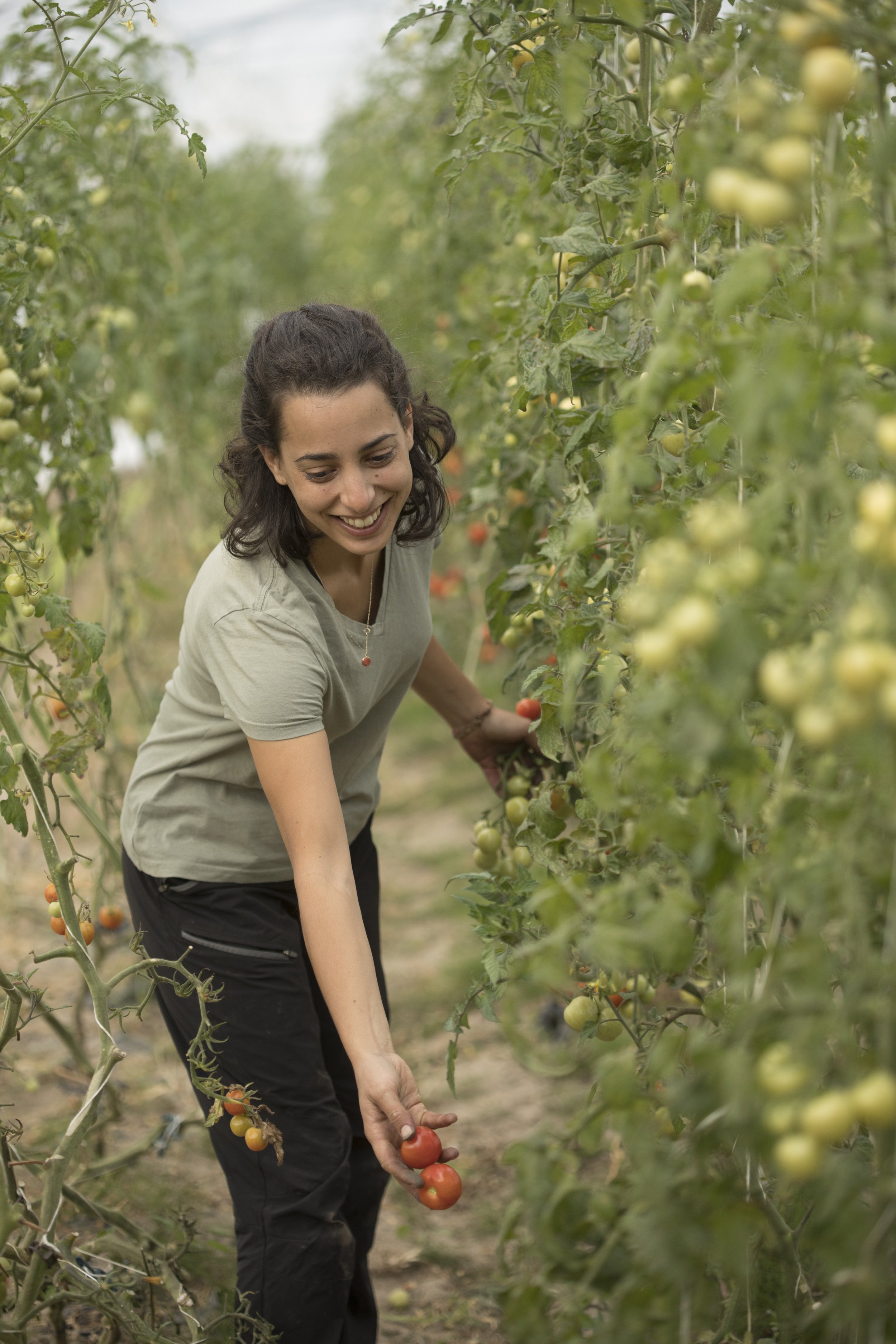 Plantage_2019-72.jpg