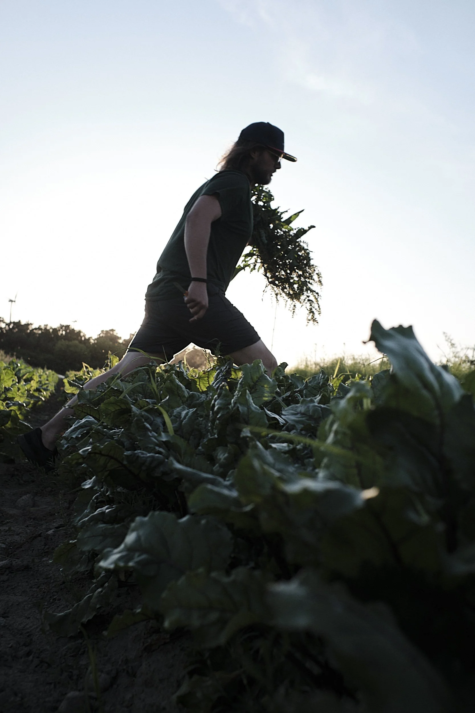 PlantAge_Juni_Brix&Maas_105.jpg
