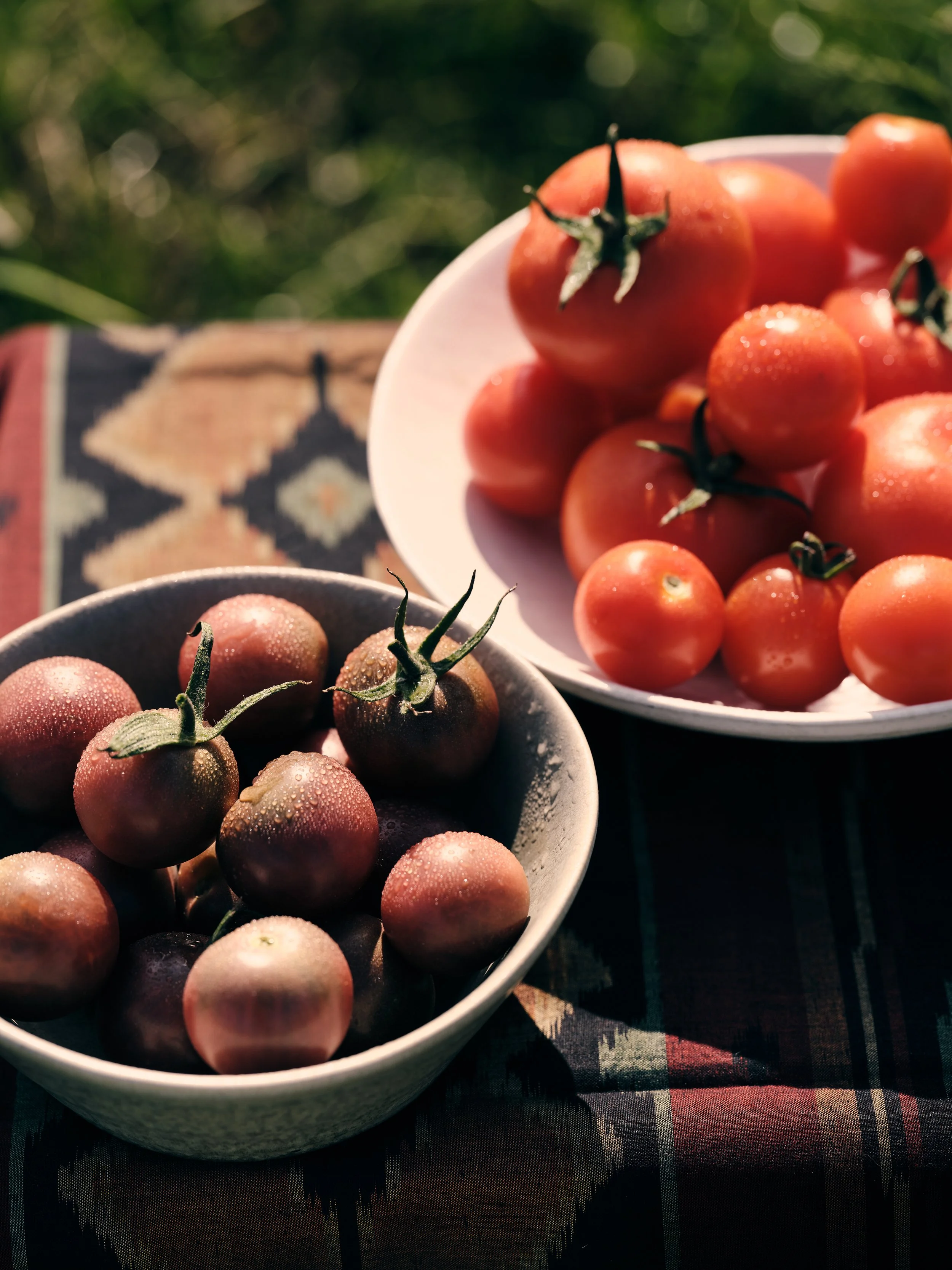 PlantAge_Tomaten&Orangen_08.jpg