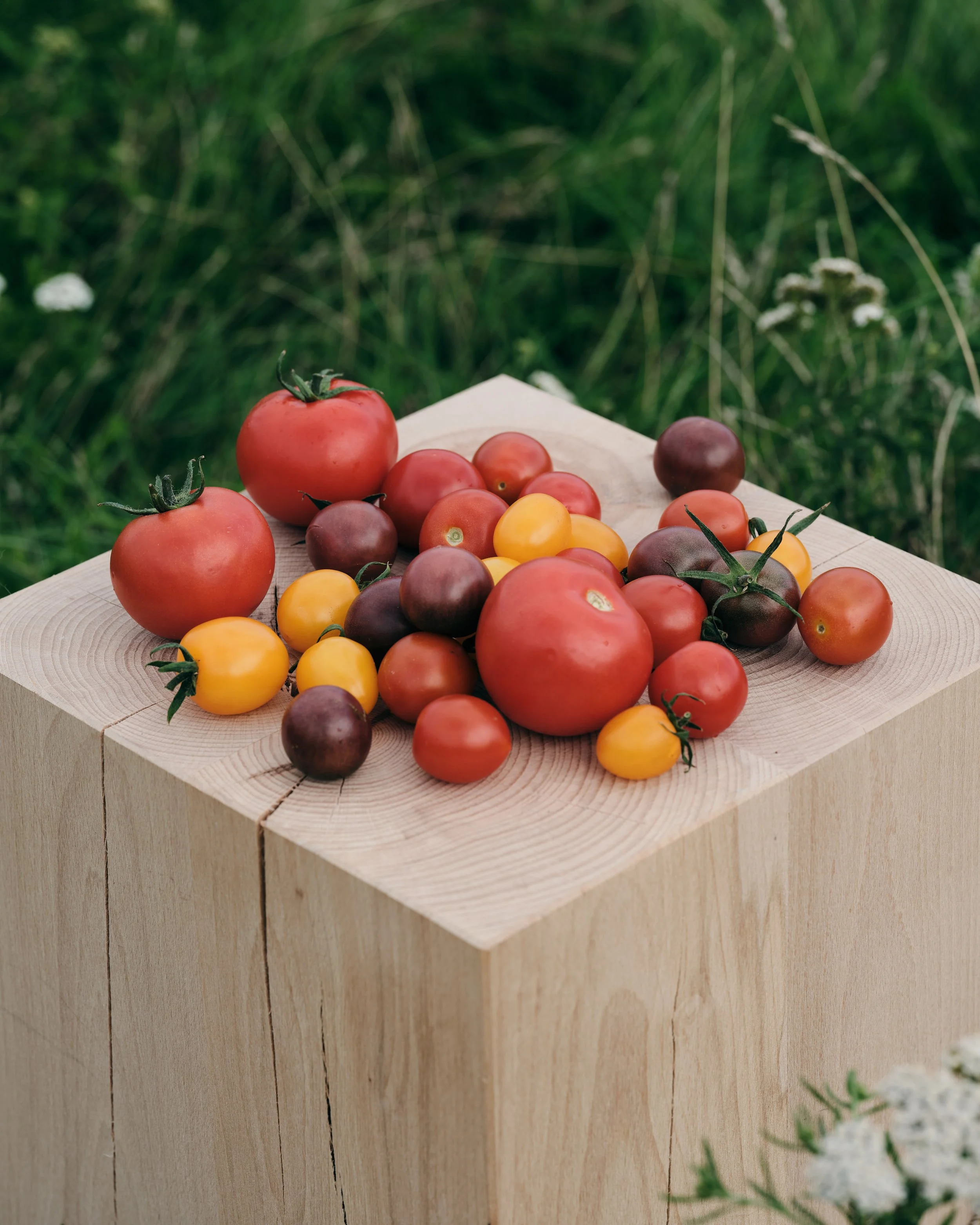 Tomate ist nicht gleich Tomate. 🍅
