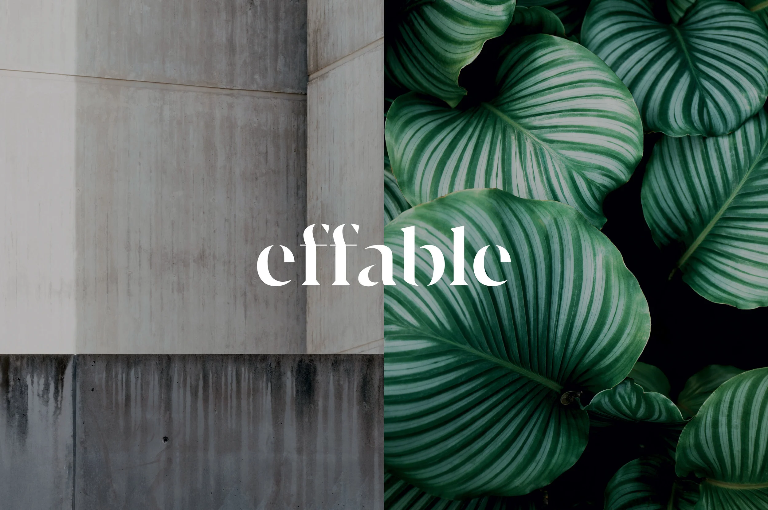 Effable_websiteImage-01.jpg