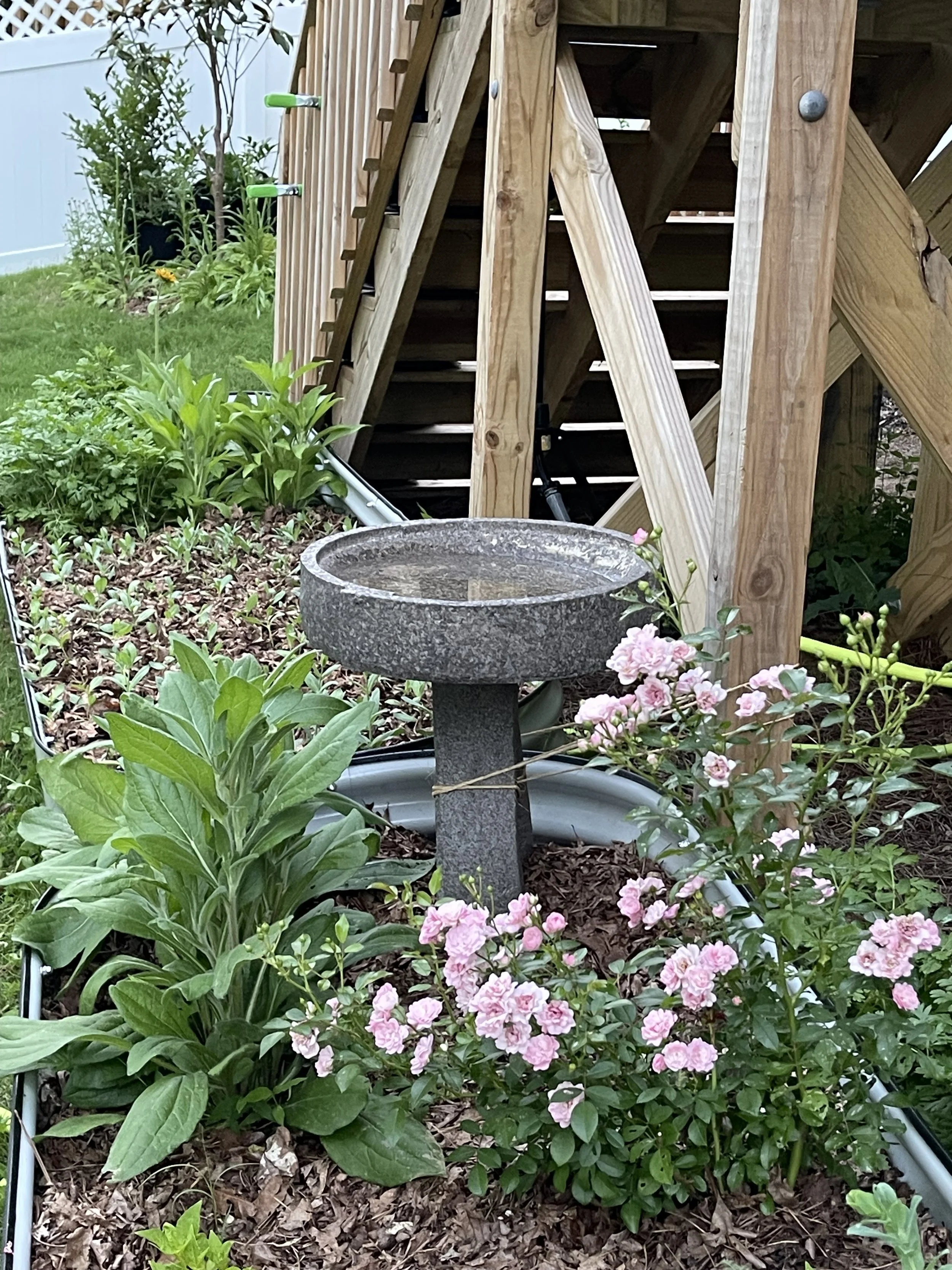 IMG_1385.jpeg