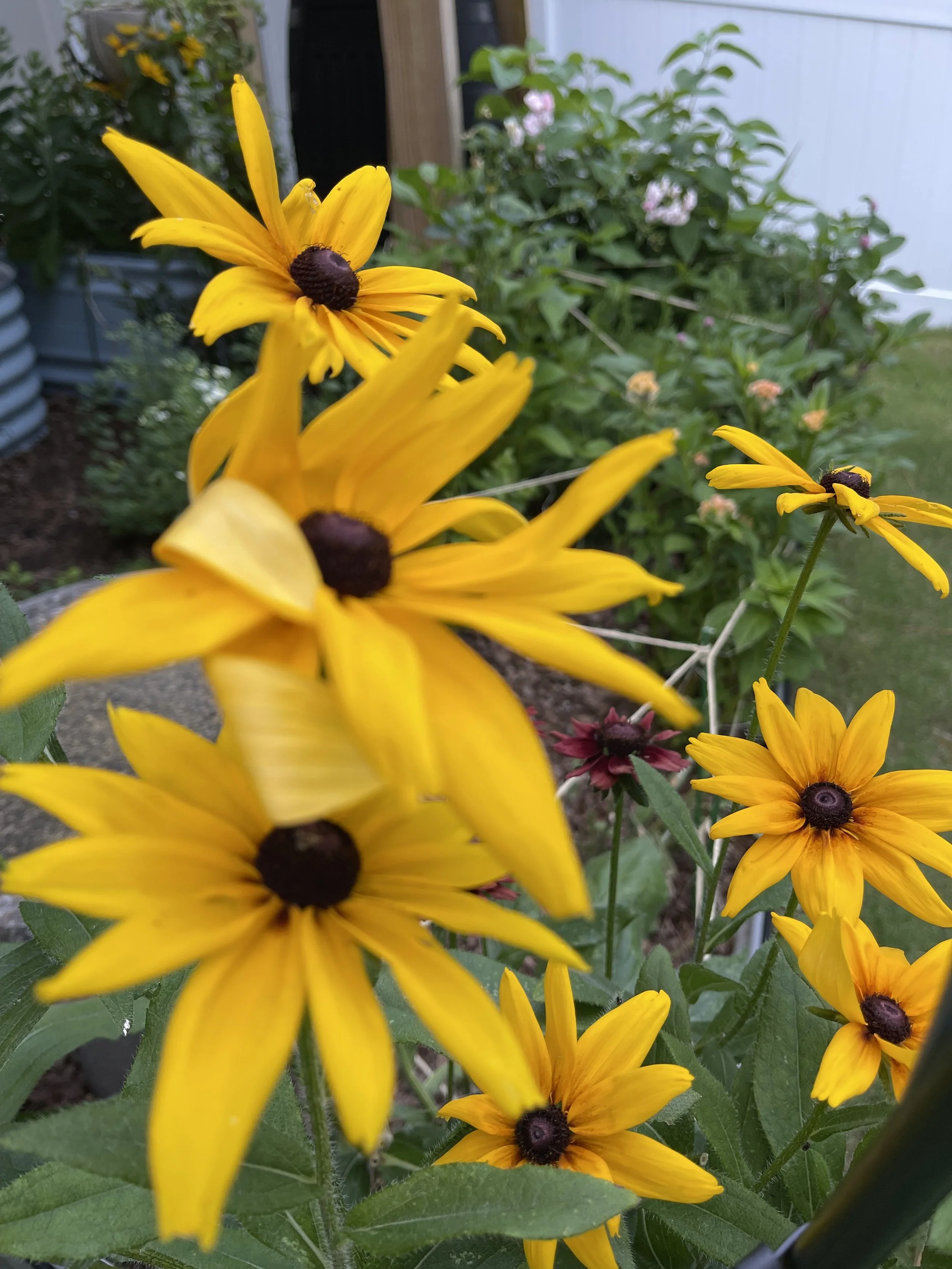 IMG_1874.jpeg