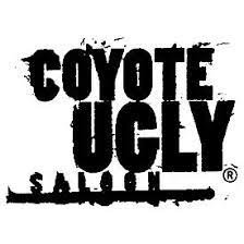 coyote ugly.jpeg