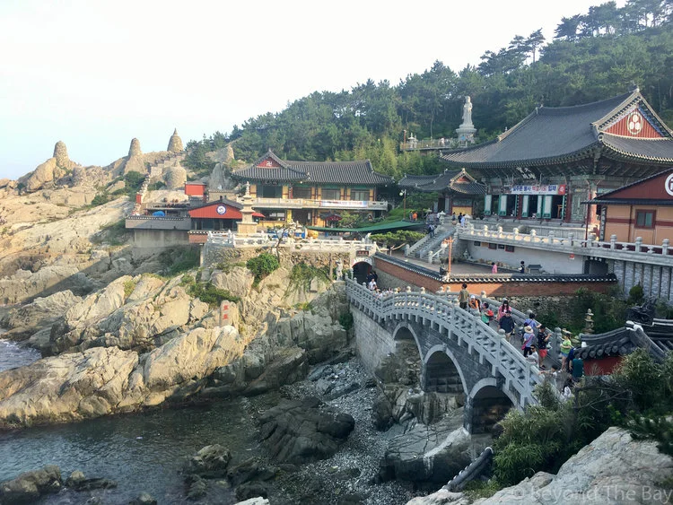 Day trip to Busan from Seoul
