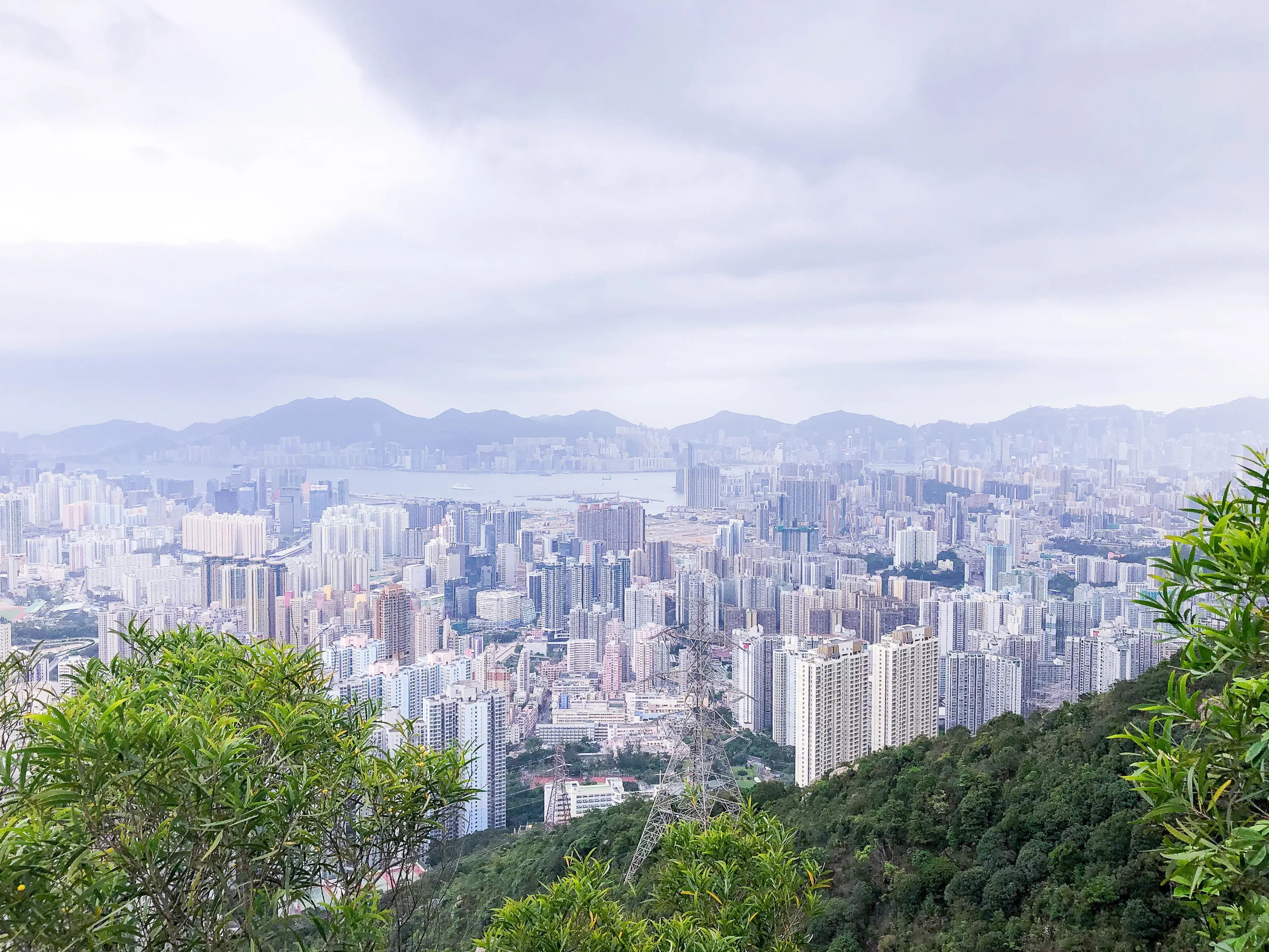 Lion Rock or Dragon's Back Hike in Hong Kong Guide [2024]