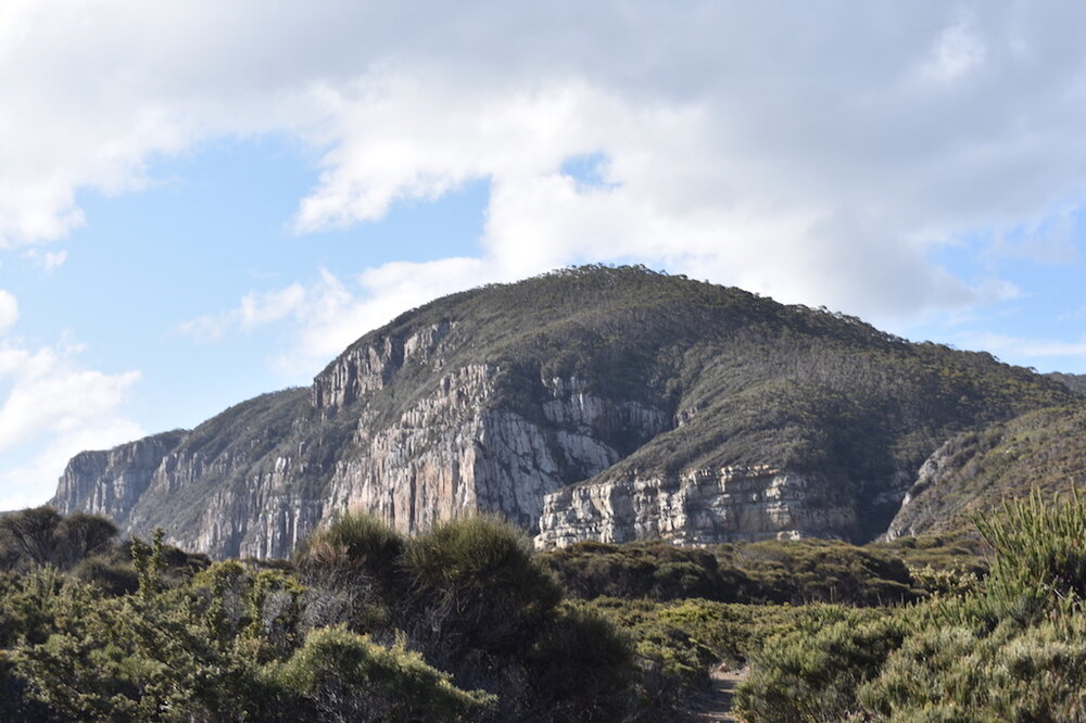 Cape Raoul, Three Capes Track