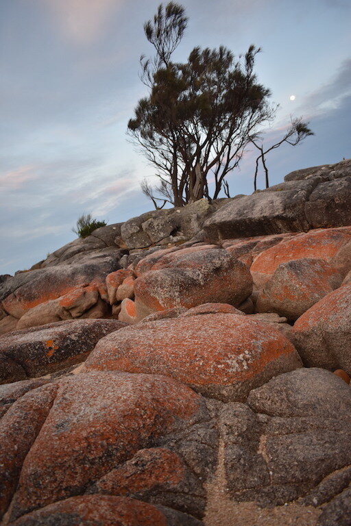 Bay of Fires