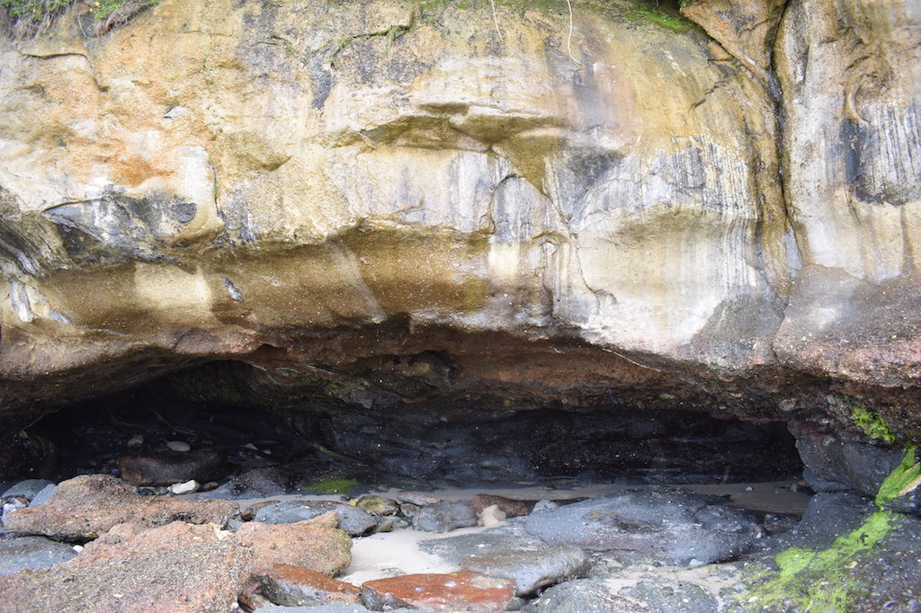 Fossil Bluff, Tasmania