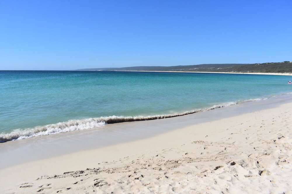 Hamelin Bay waters