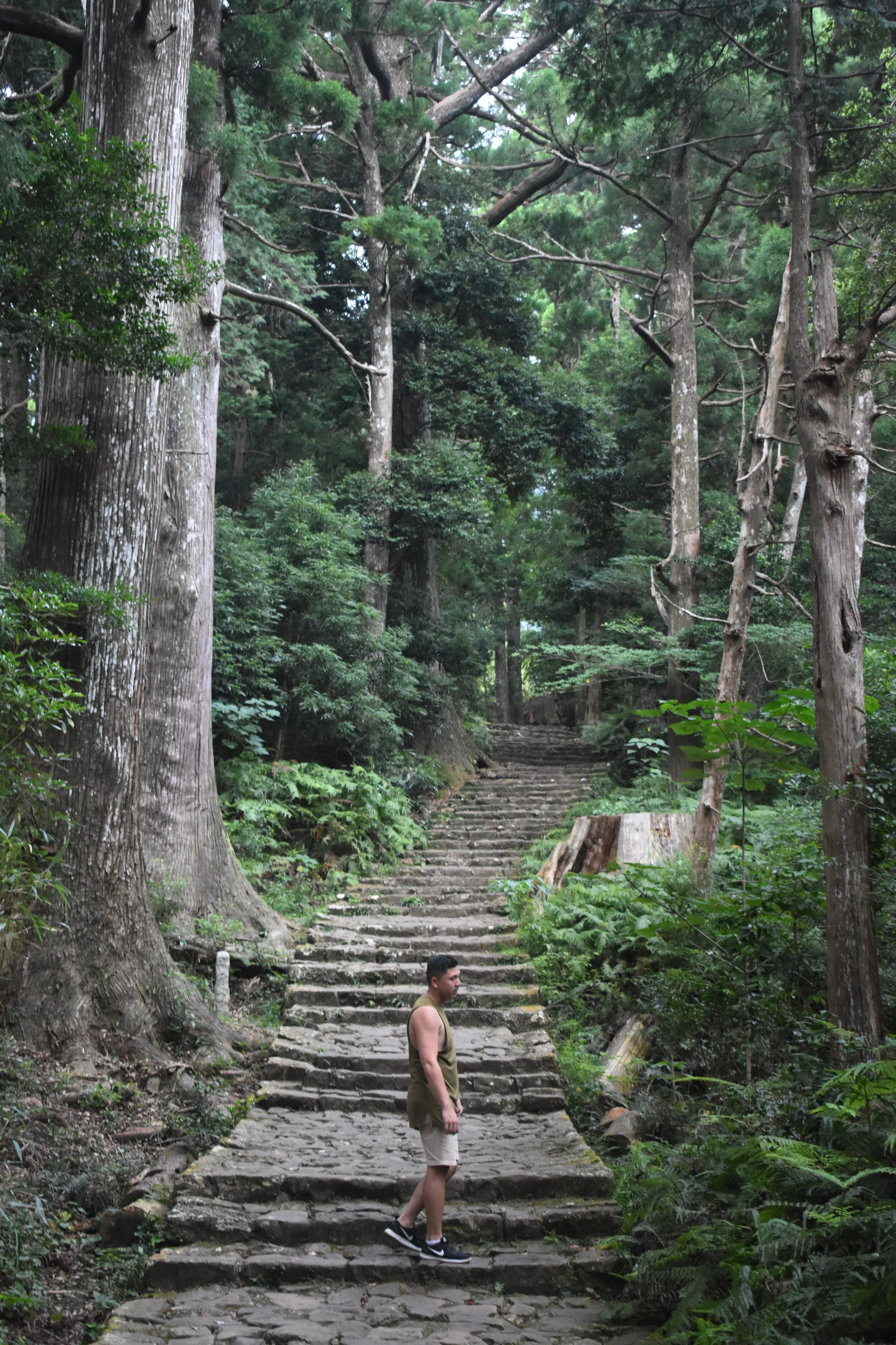 Nachi Falls Guide Everything You Need To Know Beyond The Bay
