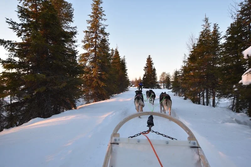 The Best Activities and Experiences To Do While in Levi, Finland [2025]