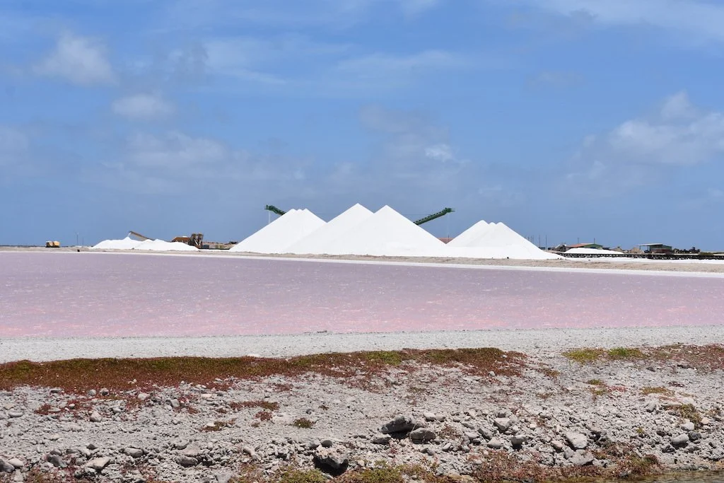 Is Bonaire Worth Visiting?