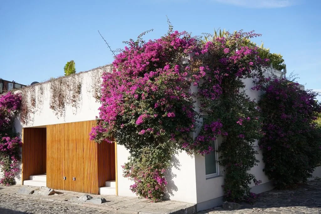 Is Colonia del Sacramento Worth Visiting? [2024]