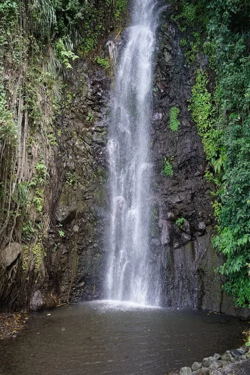7 Reasons to Visit St Vincent and the Grenadines [2024] — Beyond The Bay
