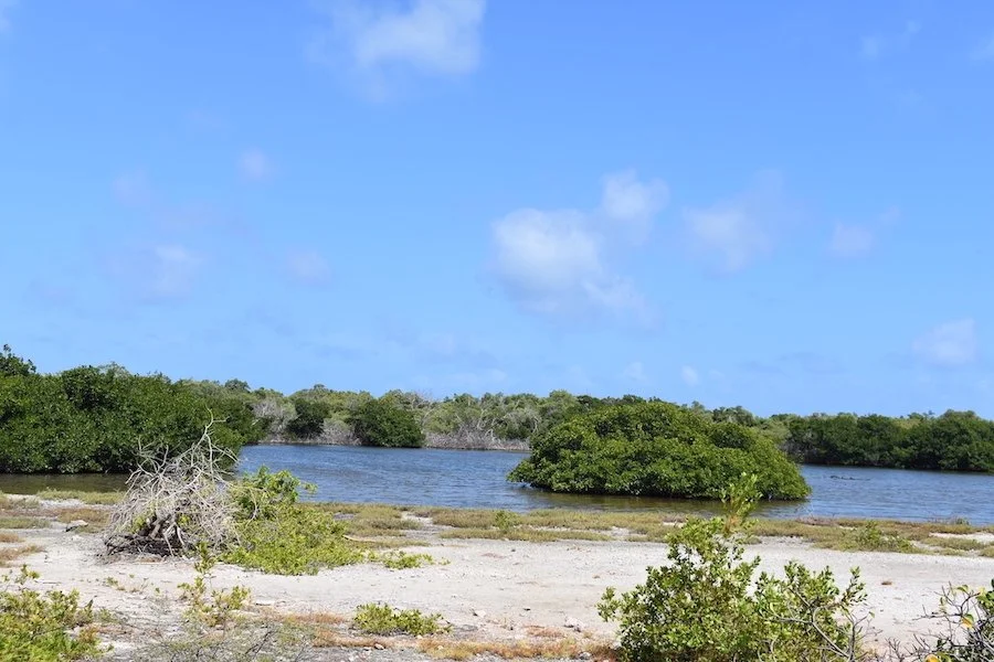 Is Bonaire Worth Visiting? — Beyond The Bay