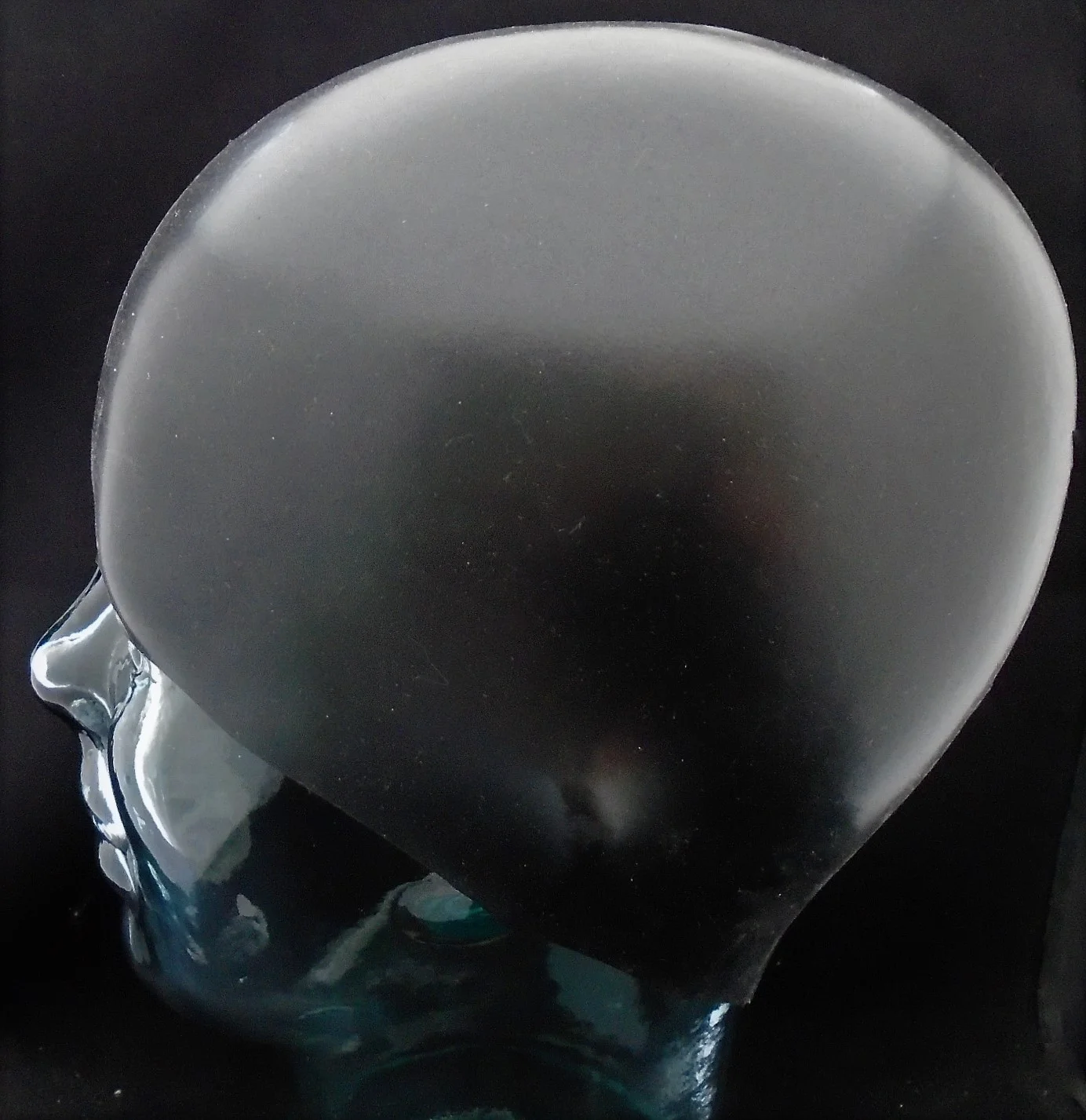 Swimprint black blank.jpg