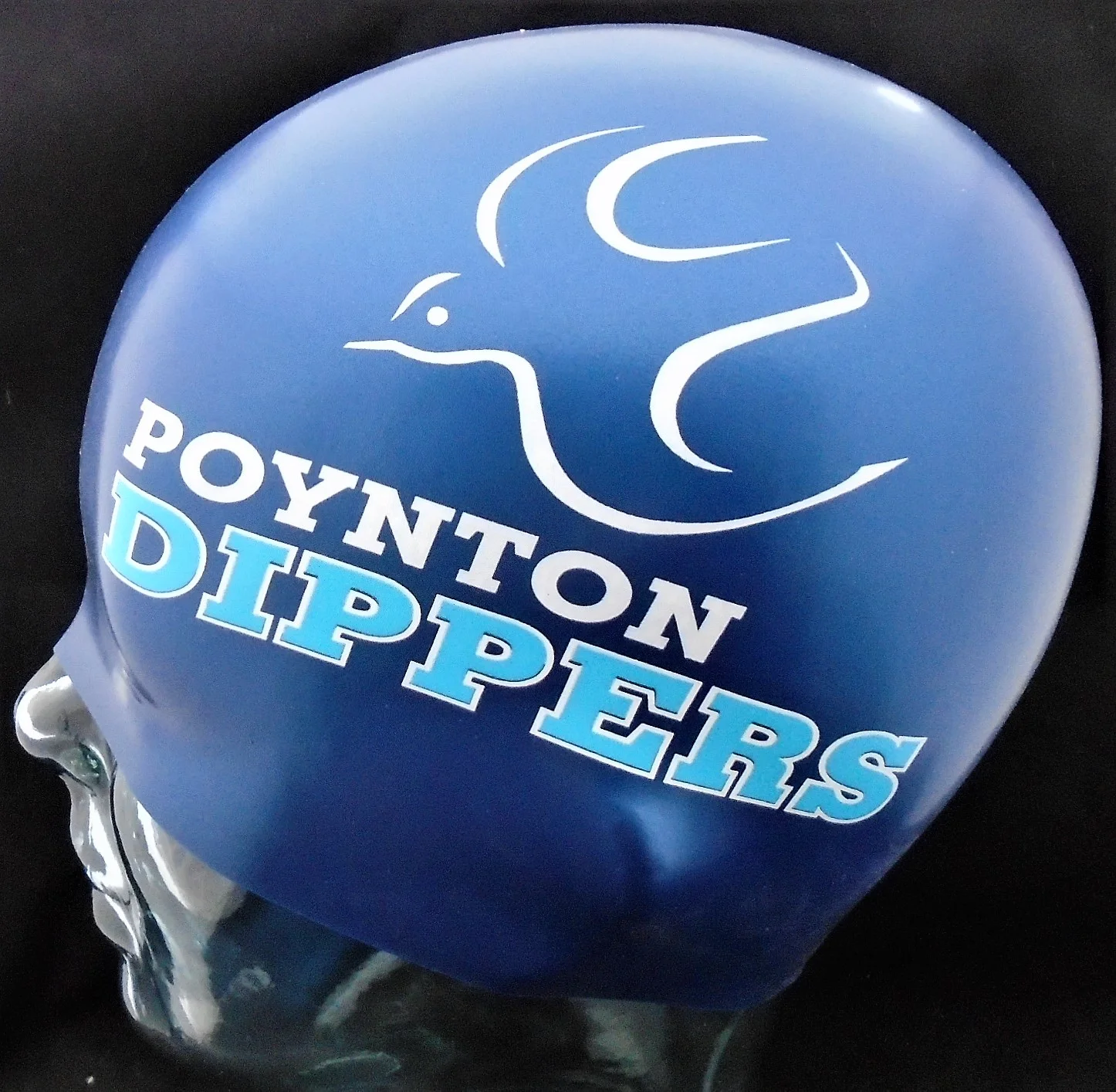 Poynton Dippers.jpg