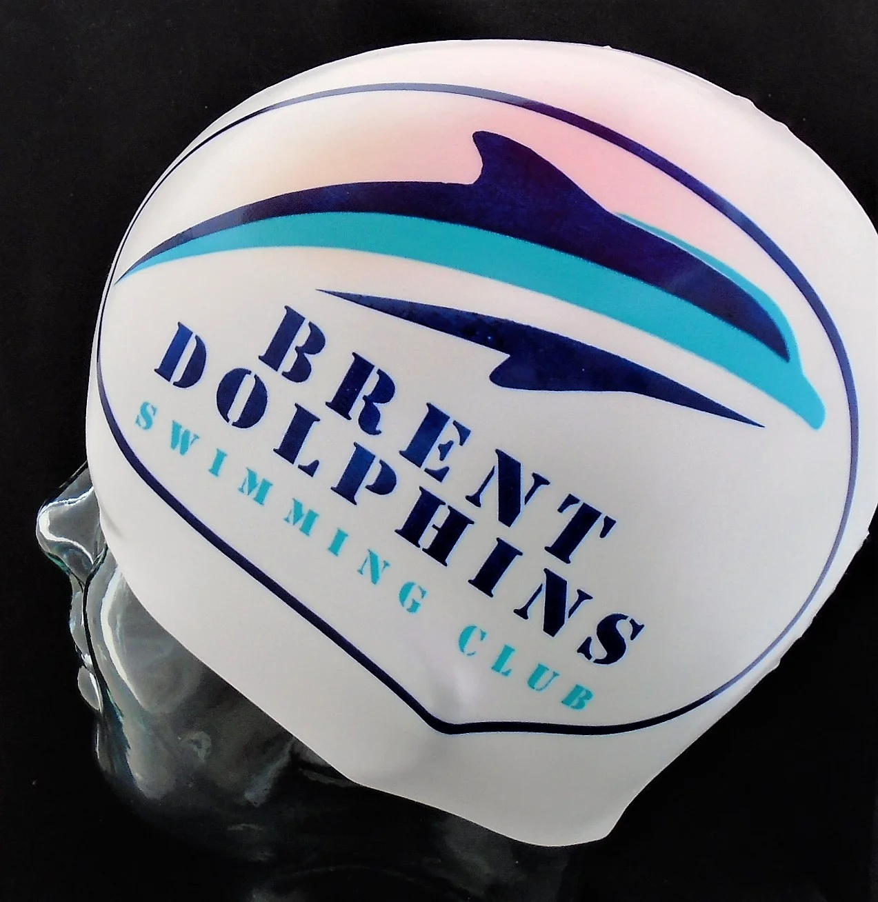 Brent Dolphins.jpg